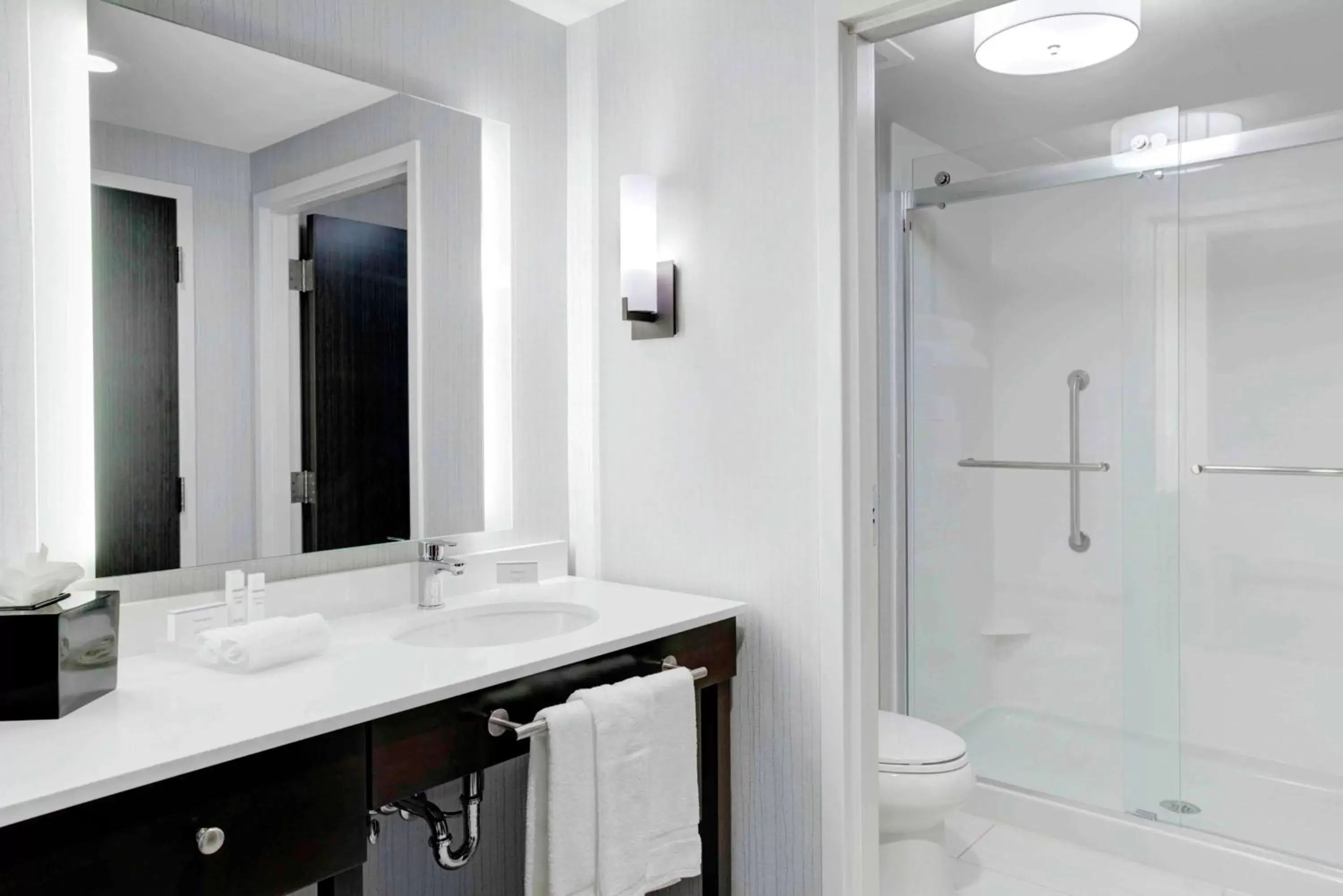 Bathroom in Homewood Suites By Hilton Lansing Eastwood
