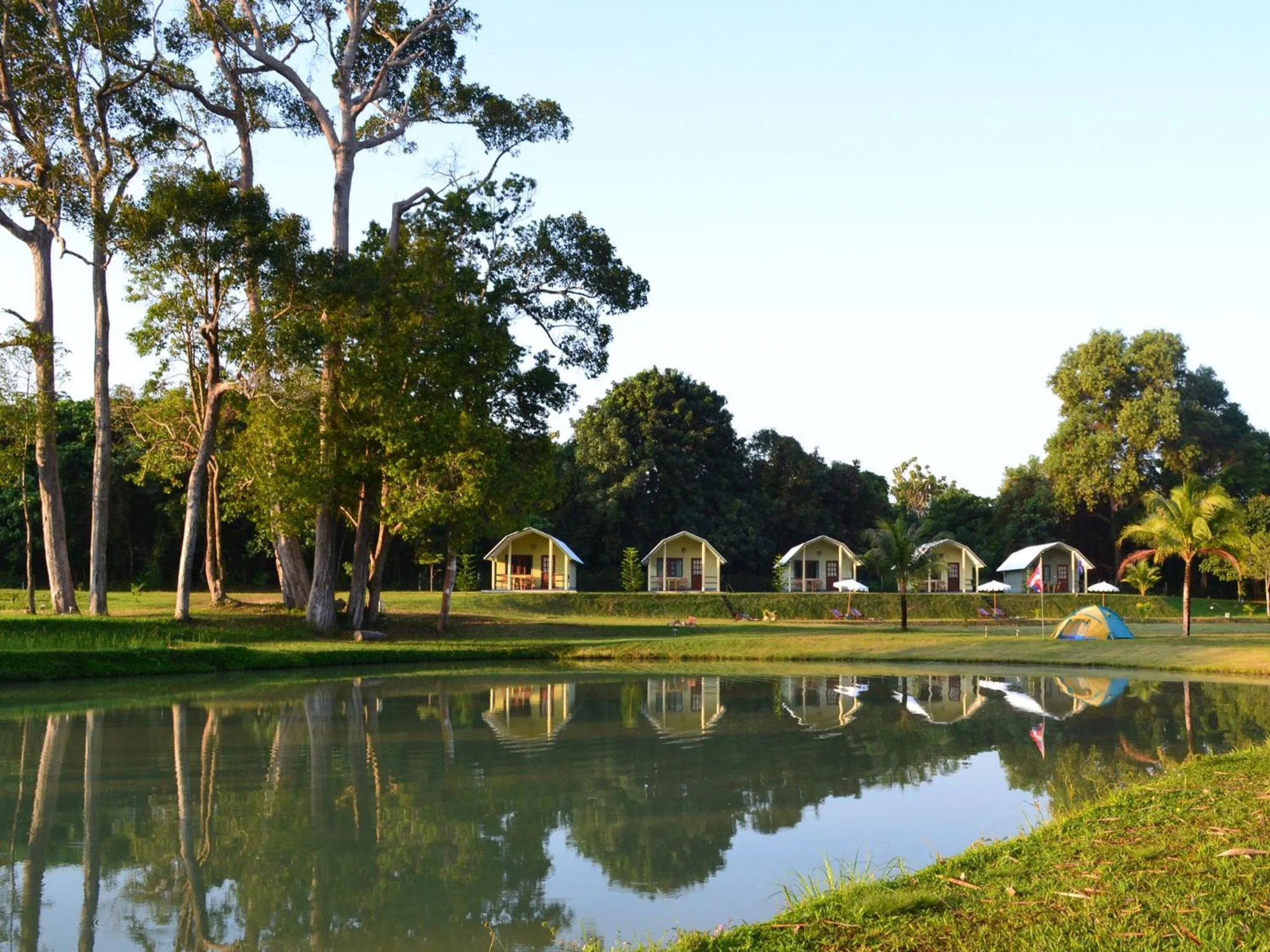 Garden in Phuket Campground