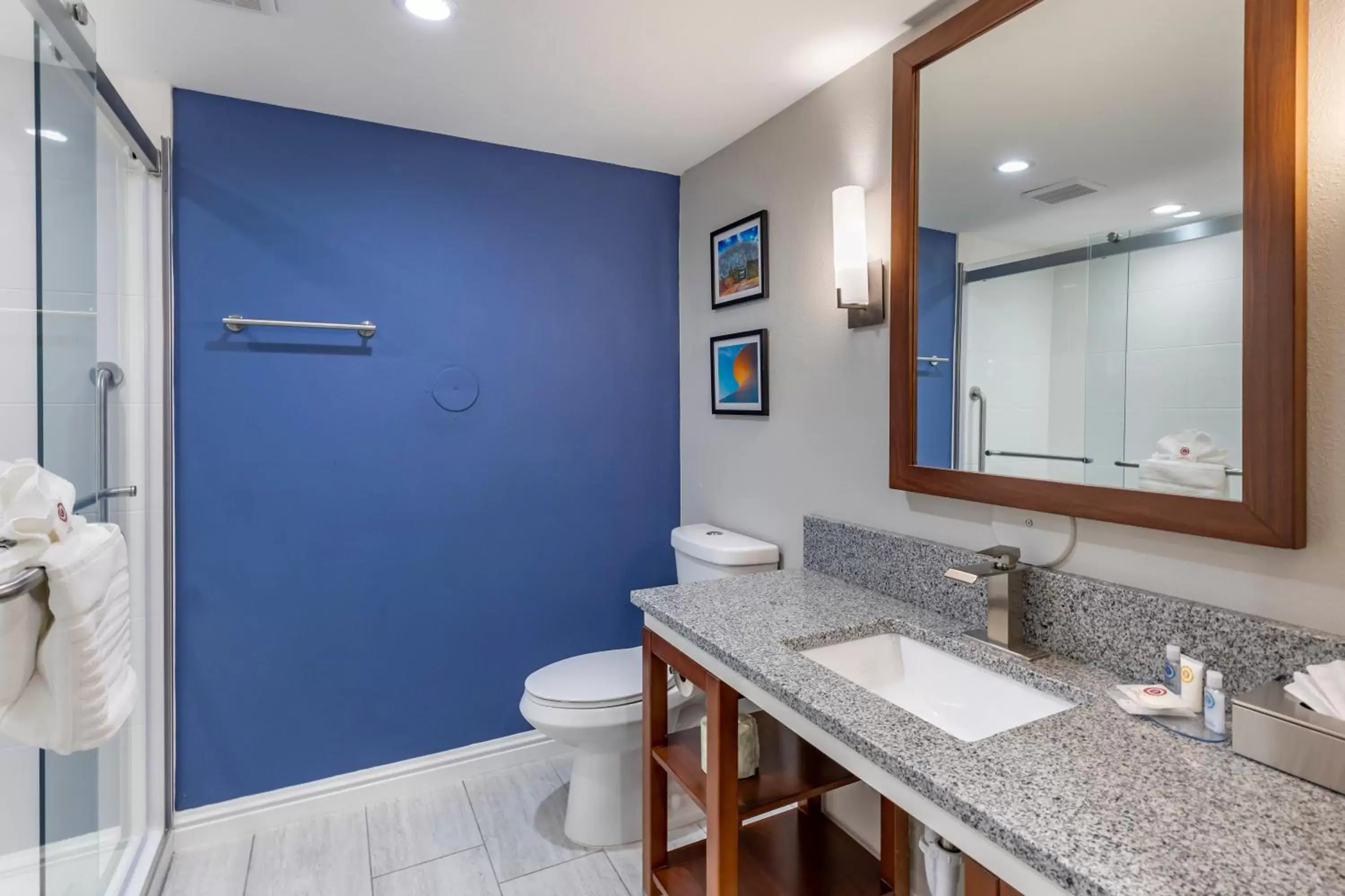 Bathroom in Comfort Suites St Louis - Sunset Hills