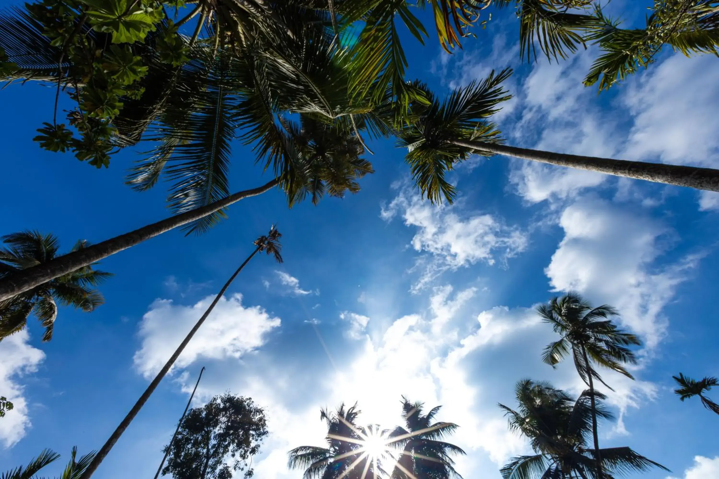 Natural landscape in OCEANATURE ALIBAUG