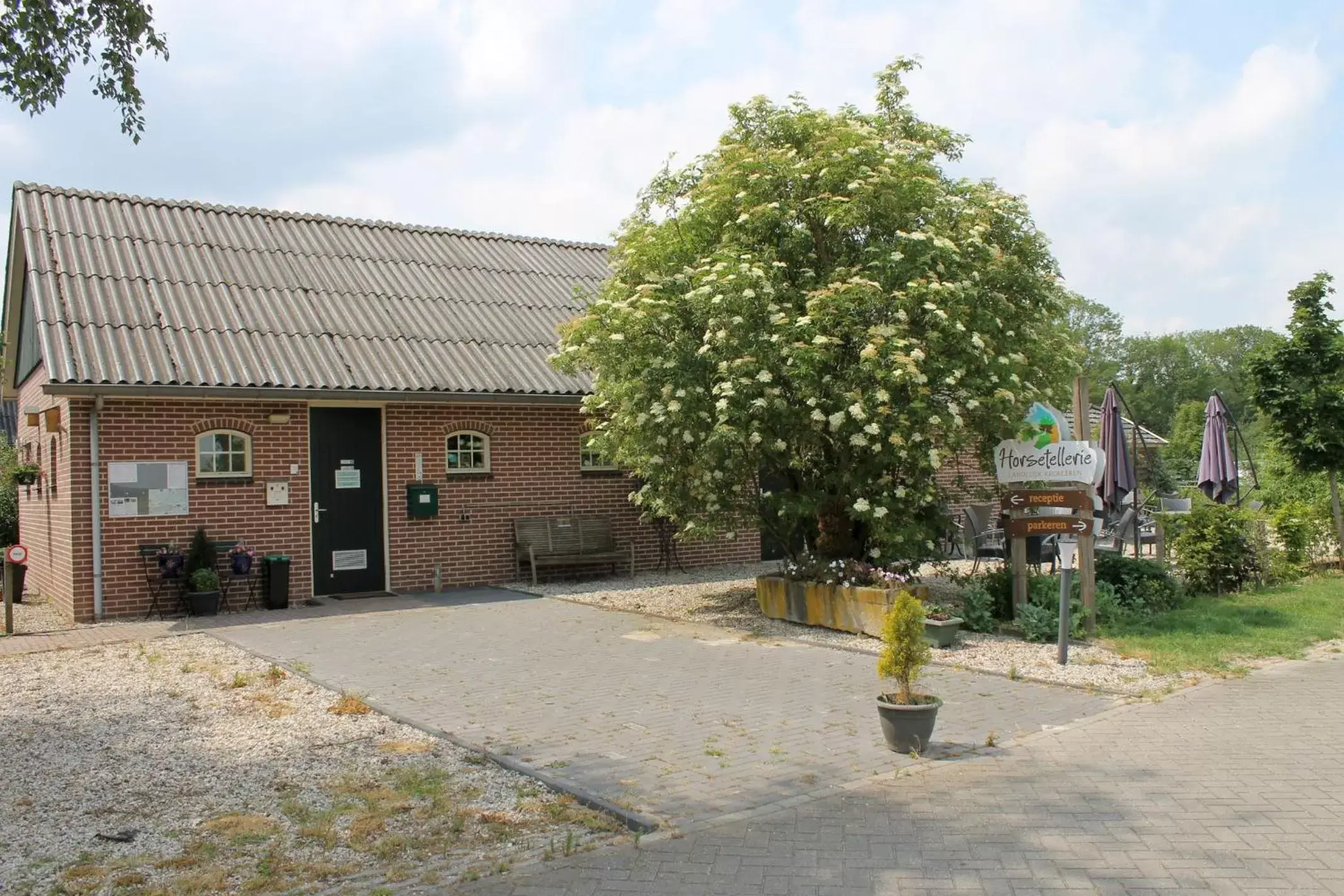 Game Room, Property Building in Horsetellerie Rheezerveen