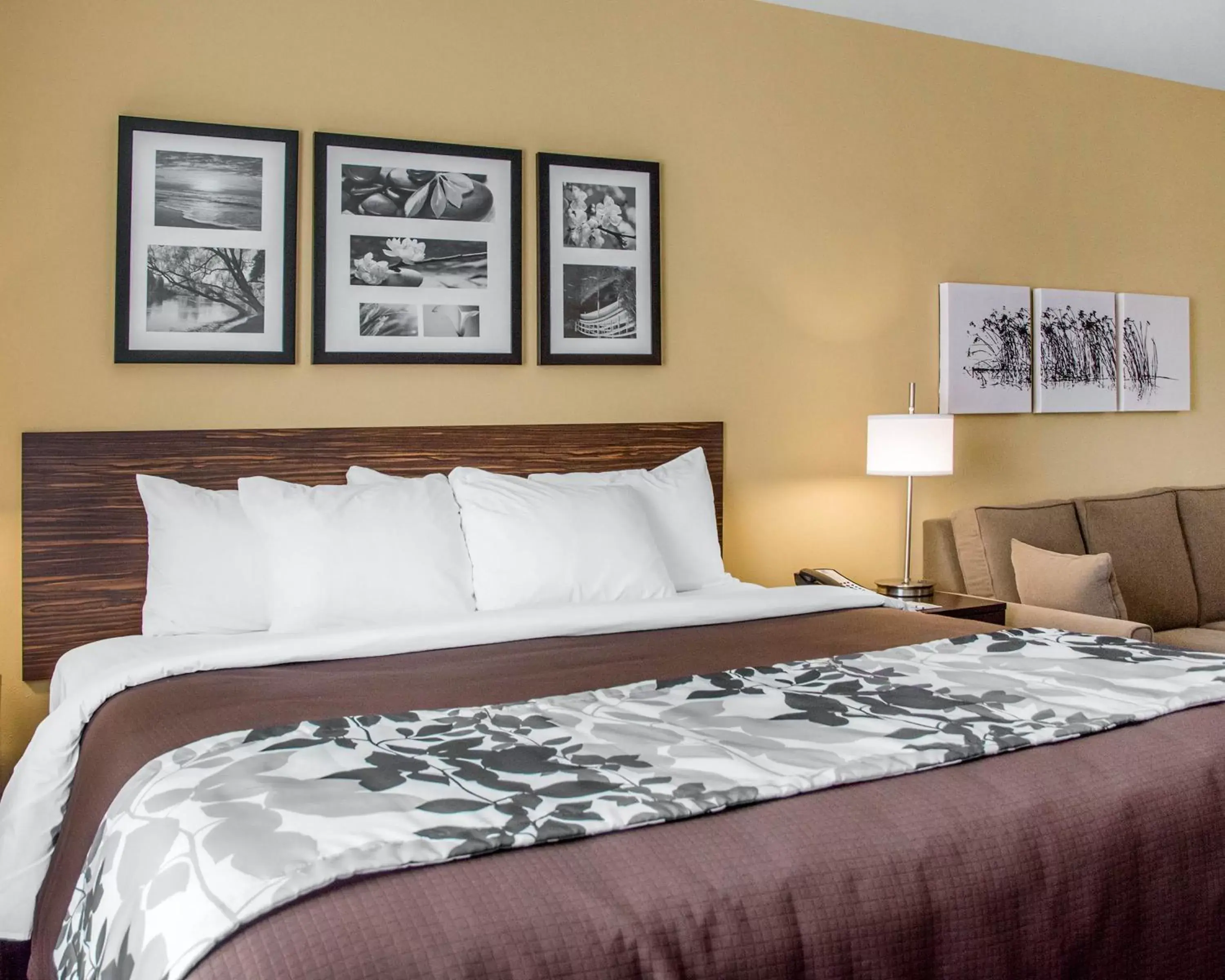 Bed in Sleep Inn & Suites Parkersburg