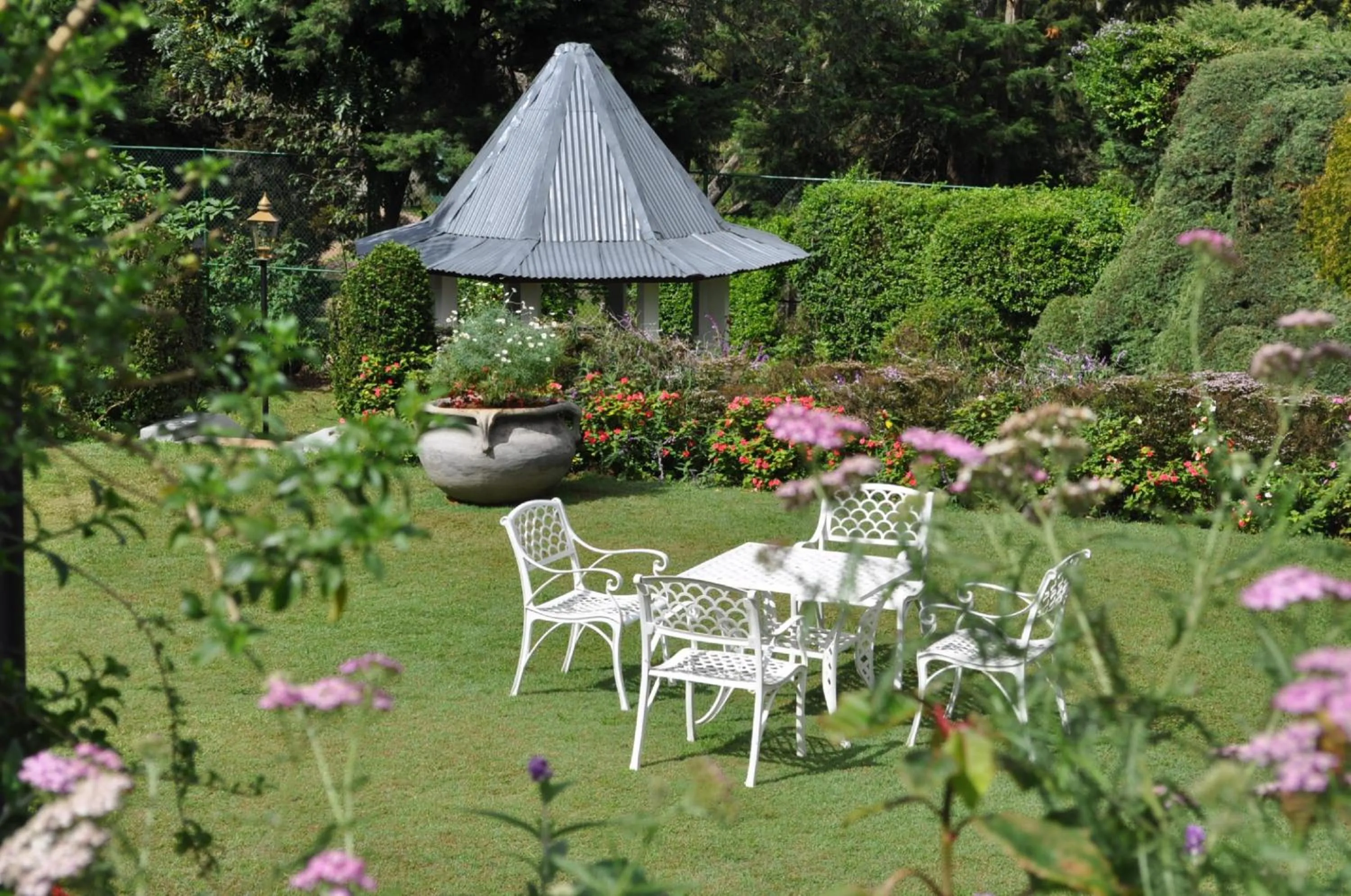 Garden in Royal Cocoon - Nuwara Eliya