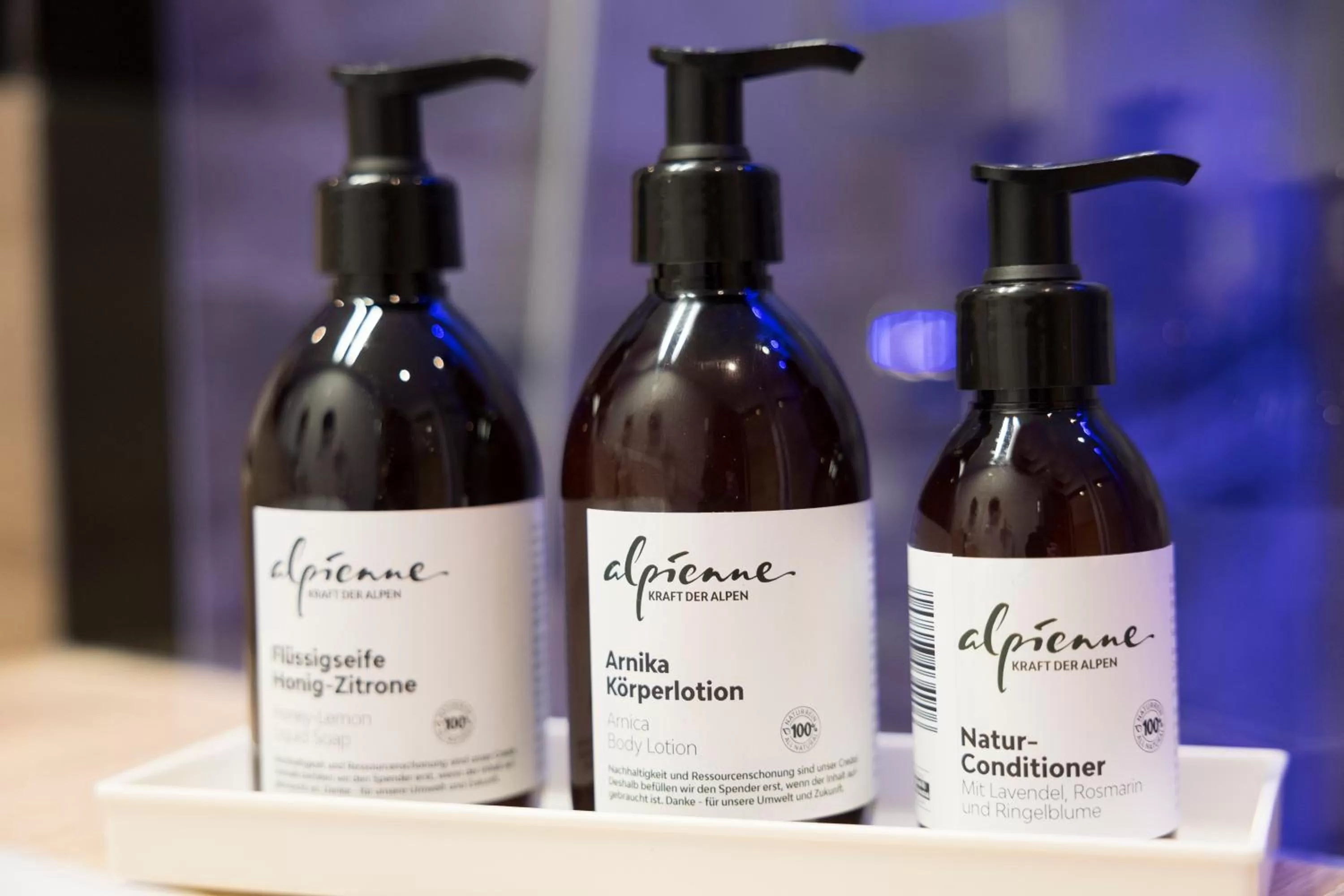 Decorative detail in Natur & Spa Resort "Der Alpbacherhof" Superior