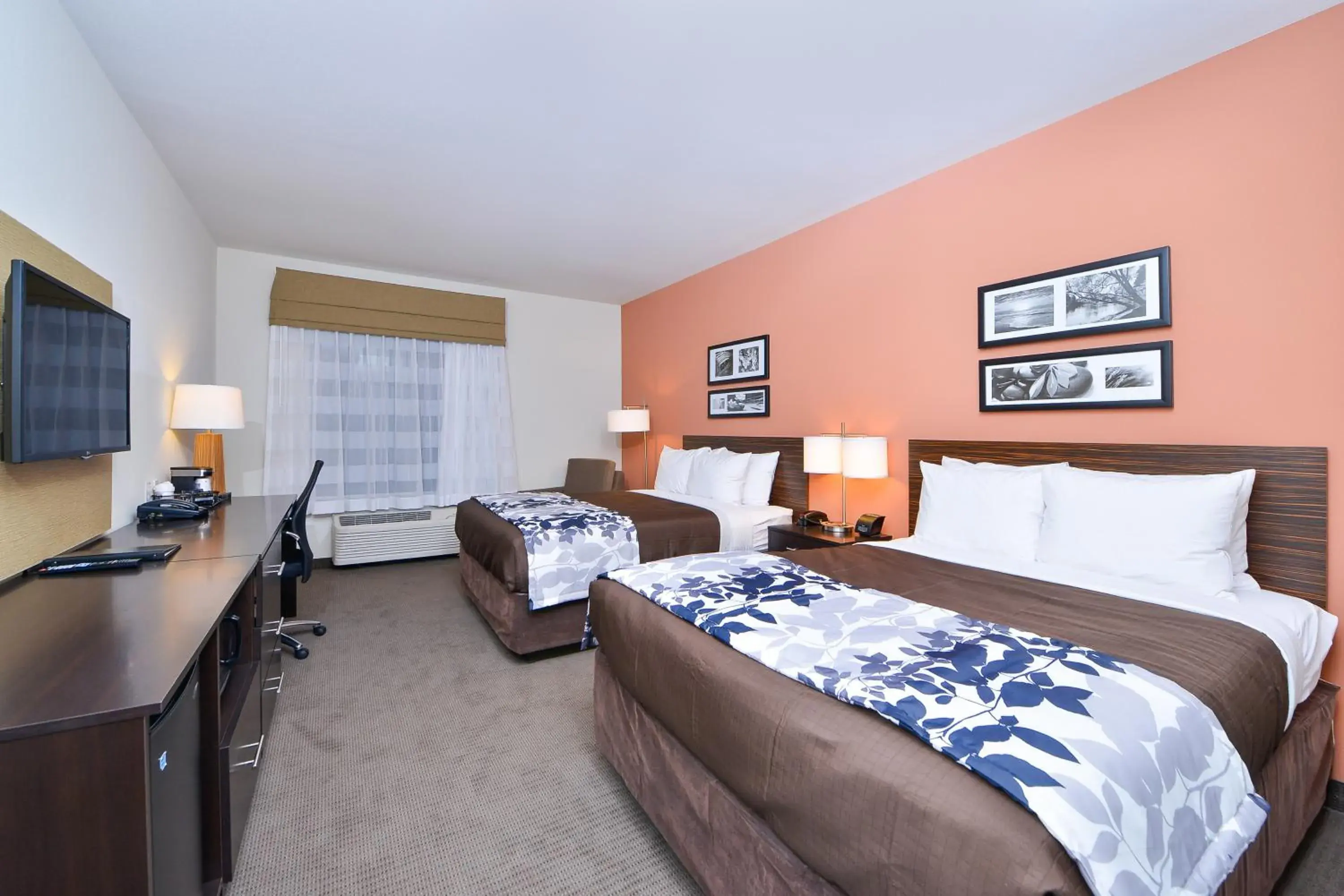 Photo of the whole room in Sleep Inn & Suites Austin – Tech Center