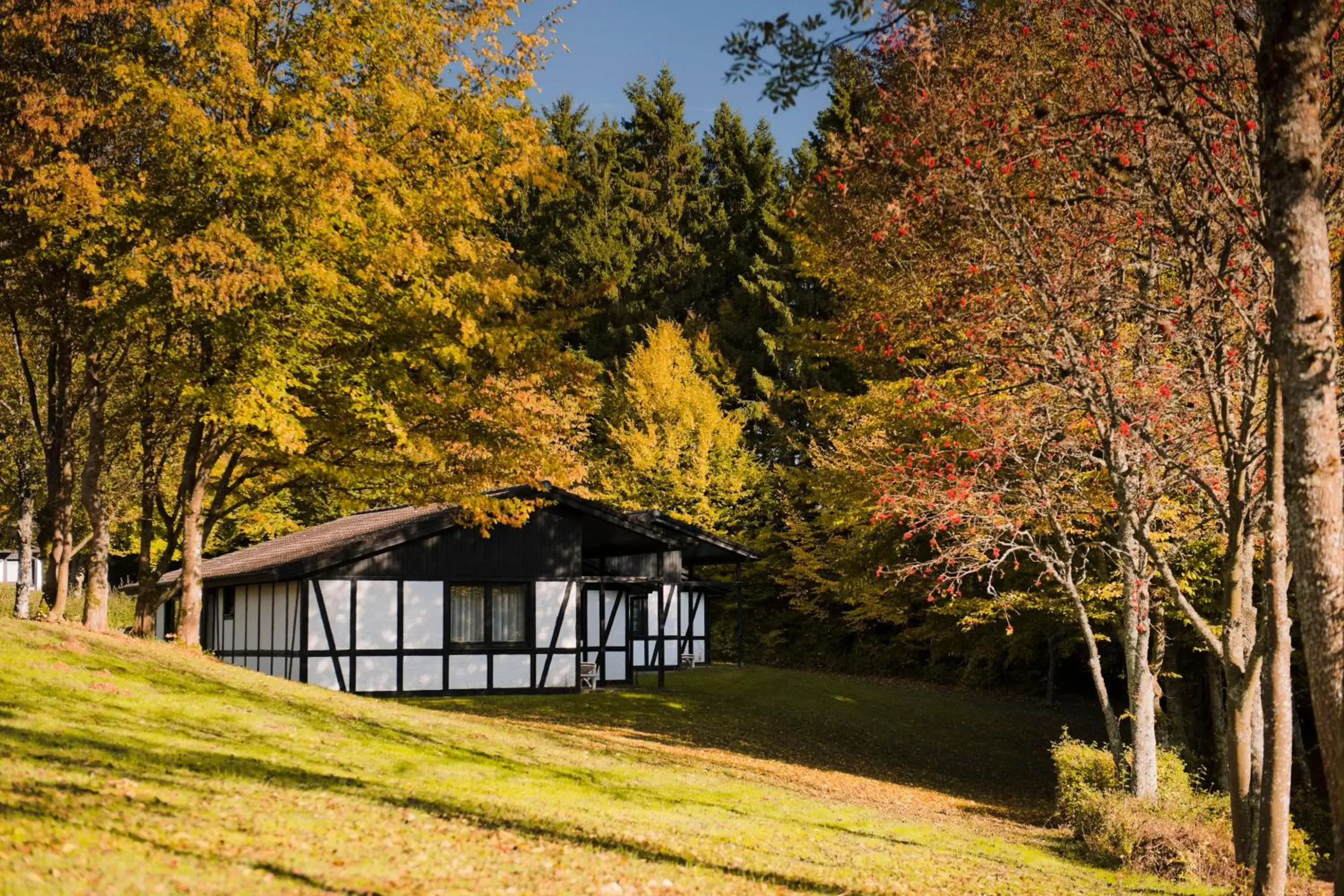 Facade/entrance, Property Building in Sporthotel Grafenwald