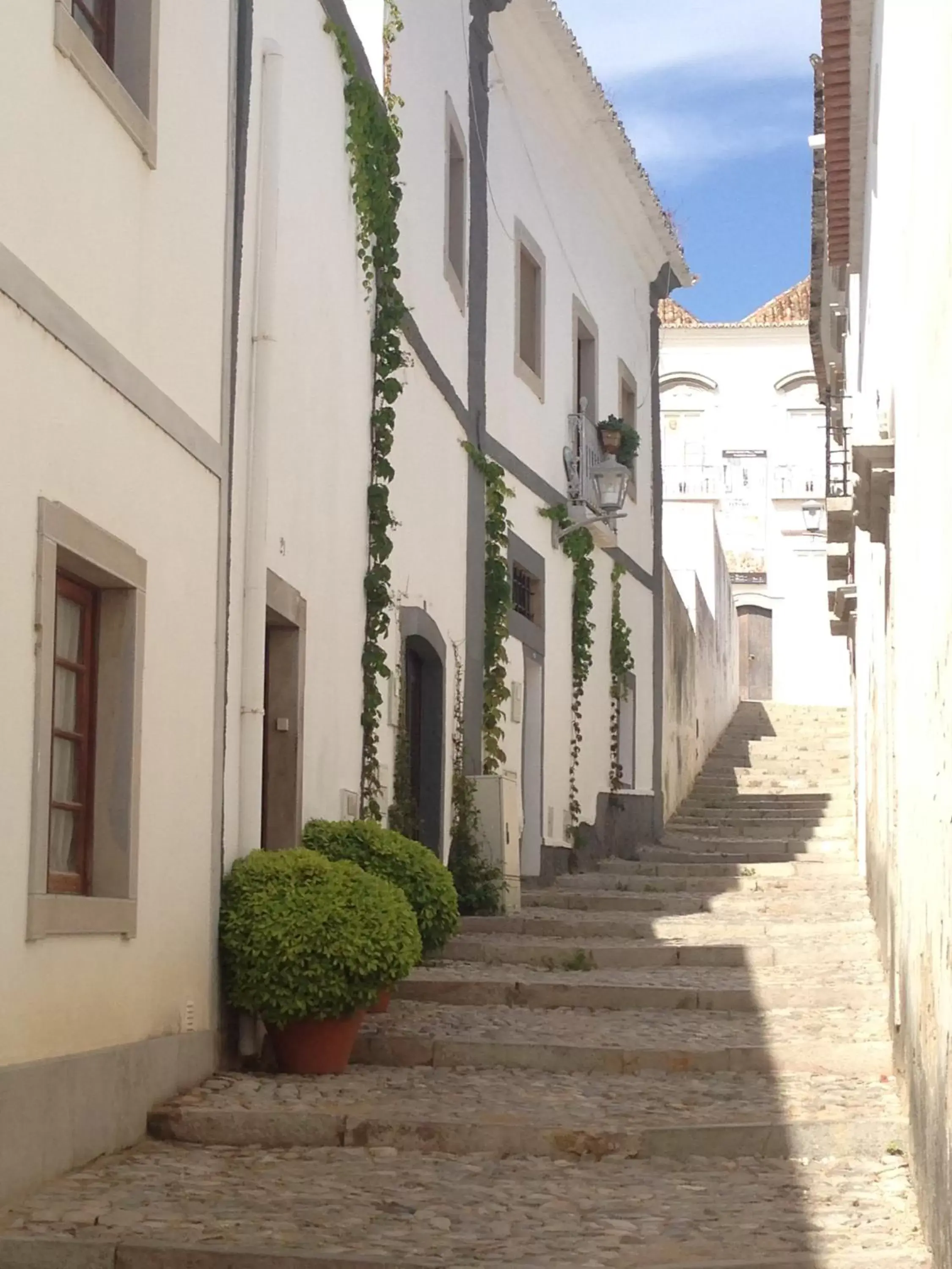 Neighbourhood, Property Building in Quinta Luz do Sol