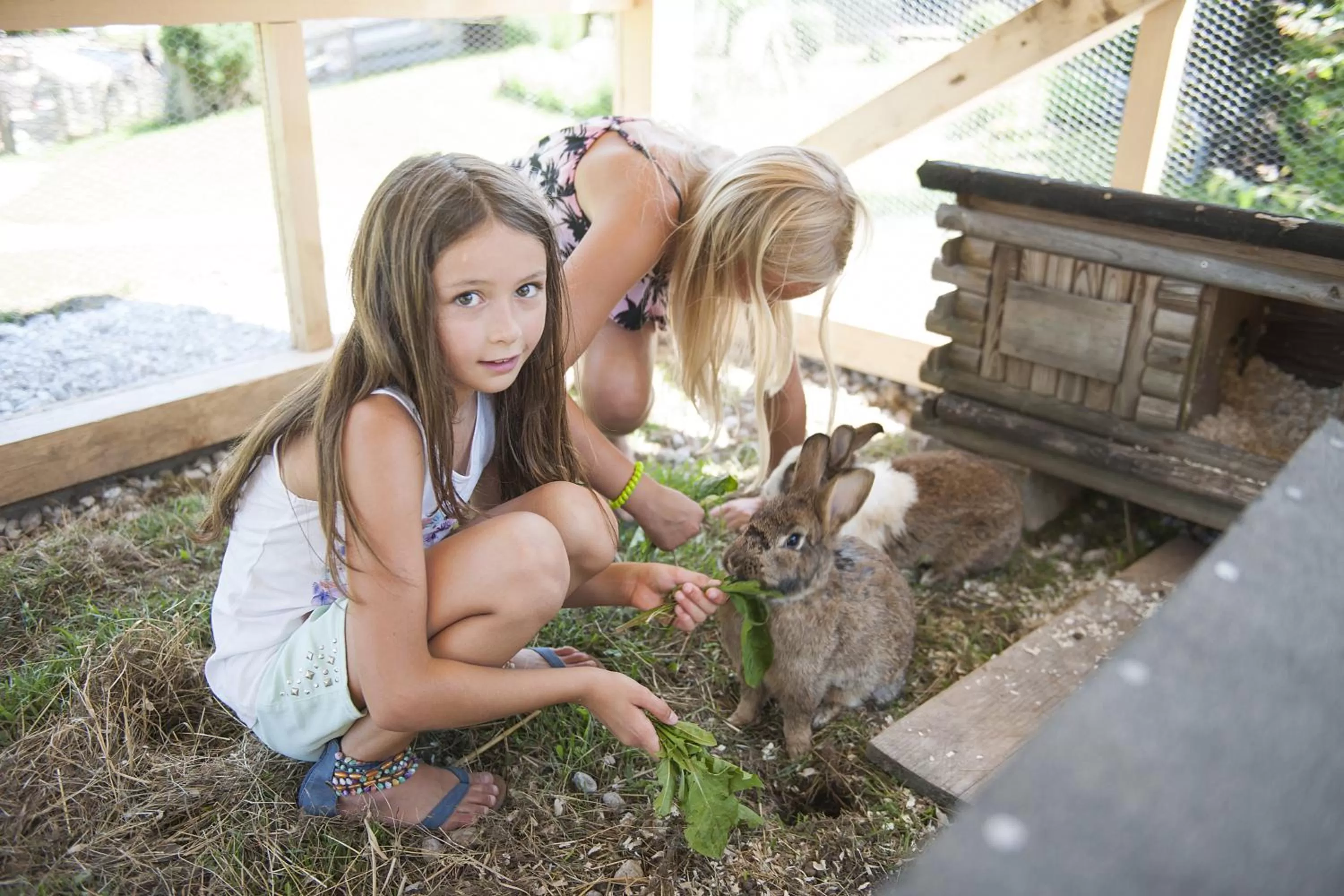 Pets in Familienparadies Sporthotel Achensee - FAMILIES ONLY