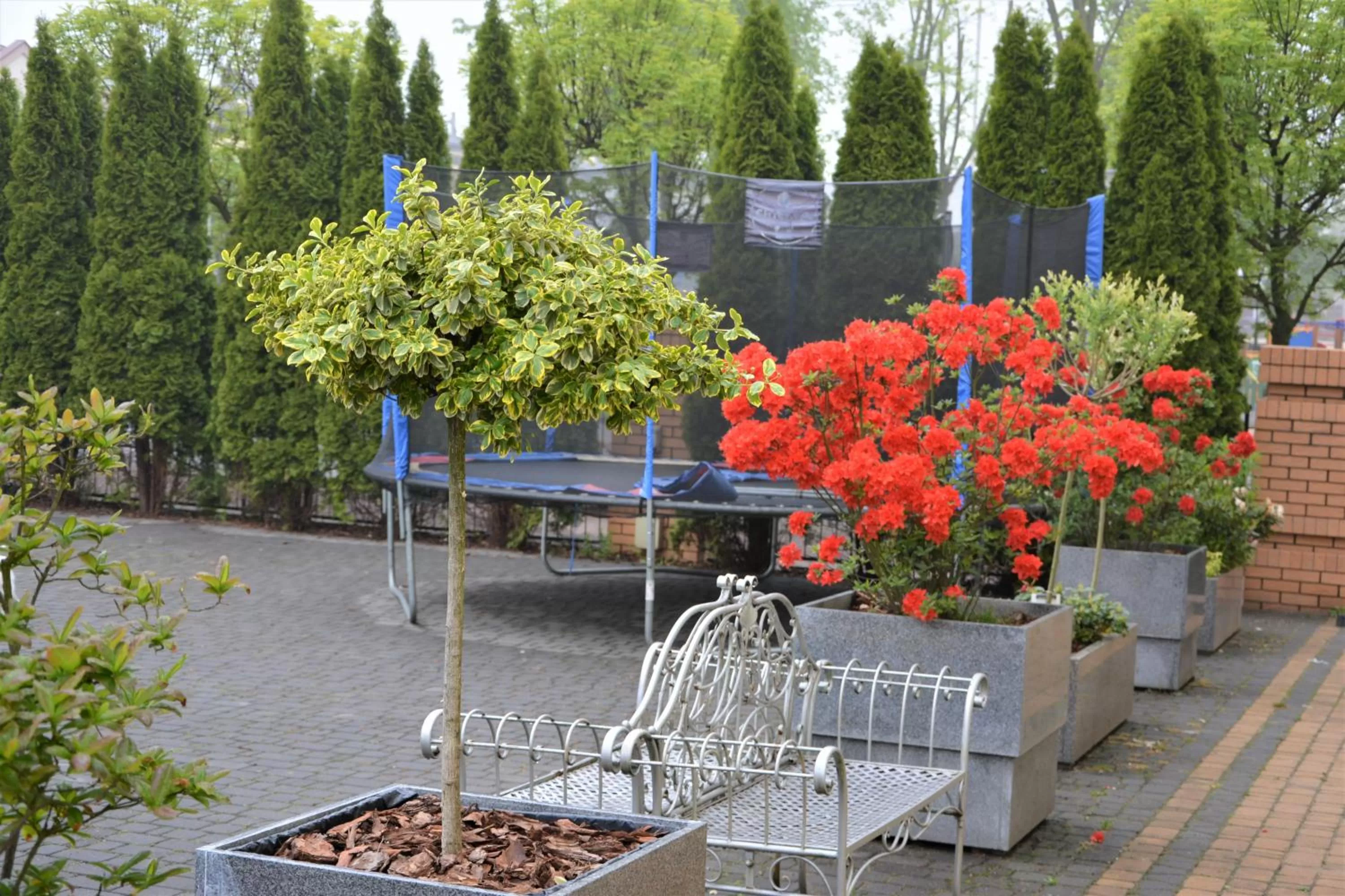 Patio in Apartamenty i pokoje „Pod Jedynką”