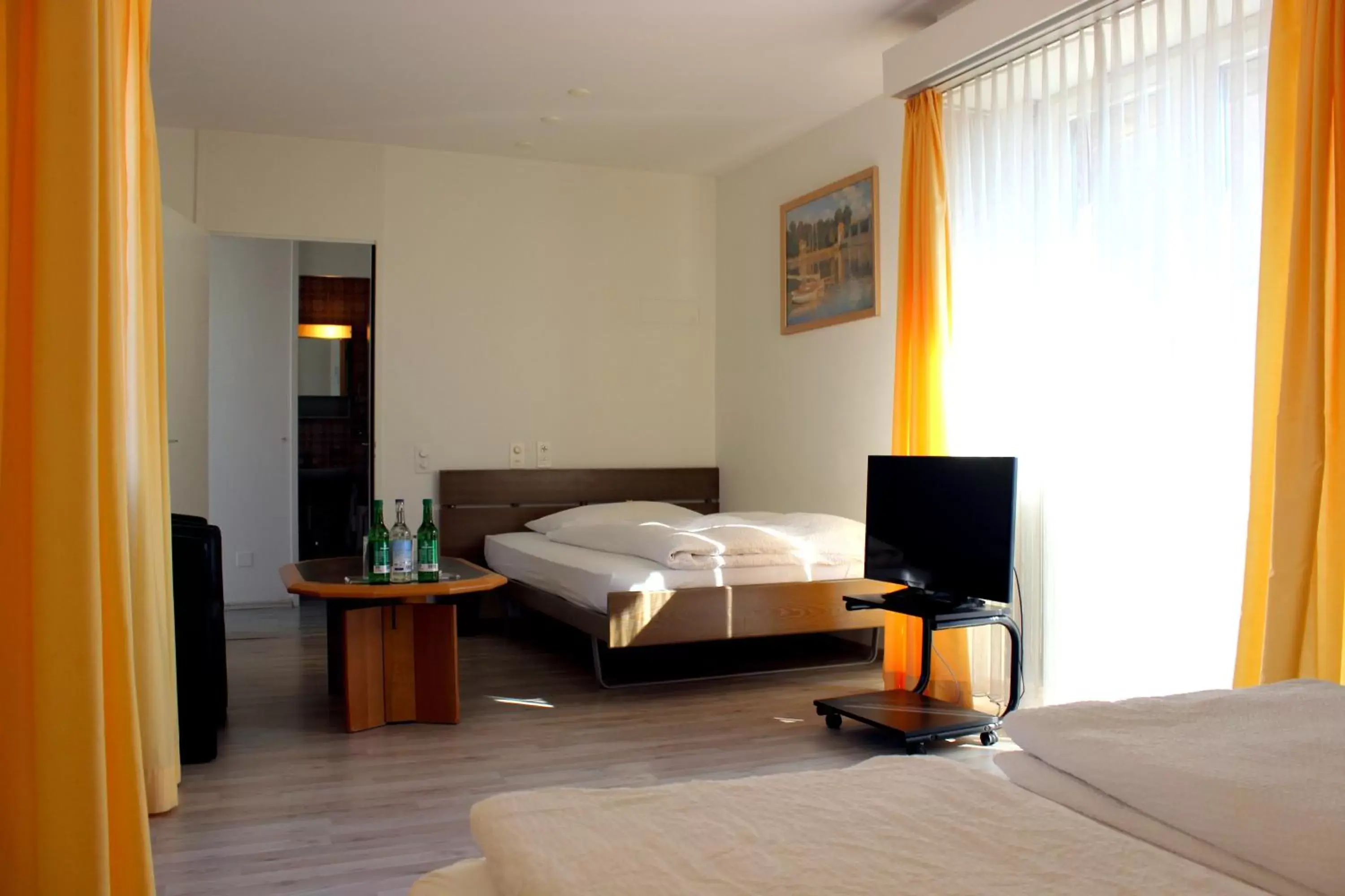 TV and multimedia, Bed in Budget Hotel Alexander