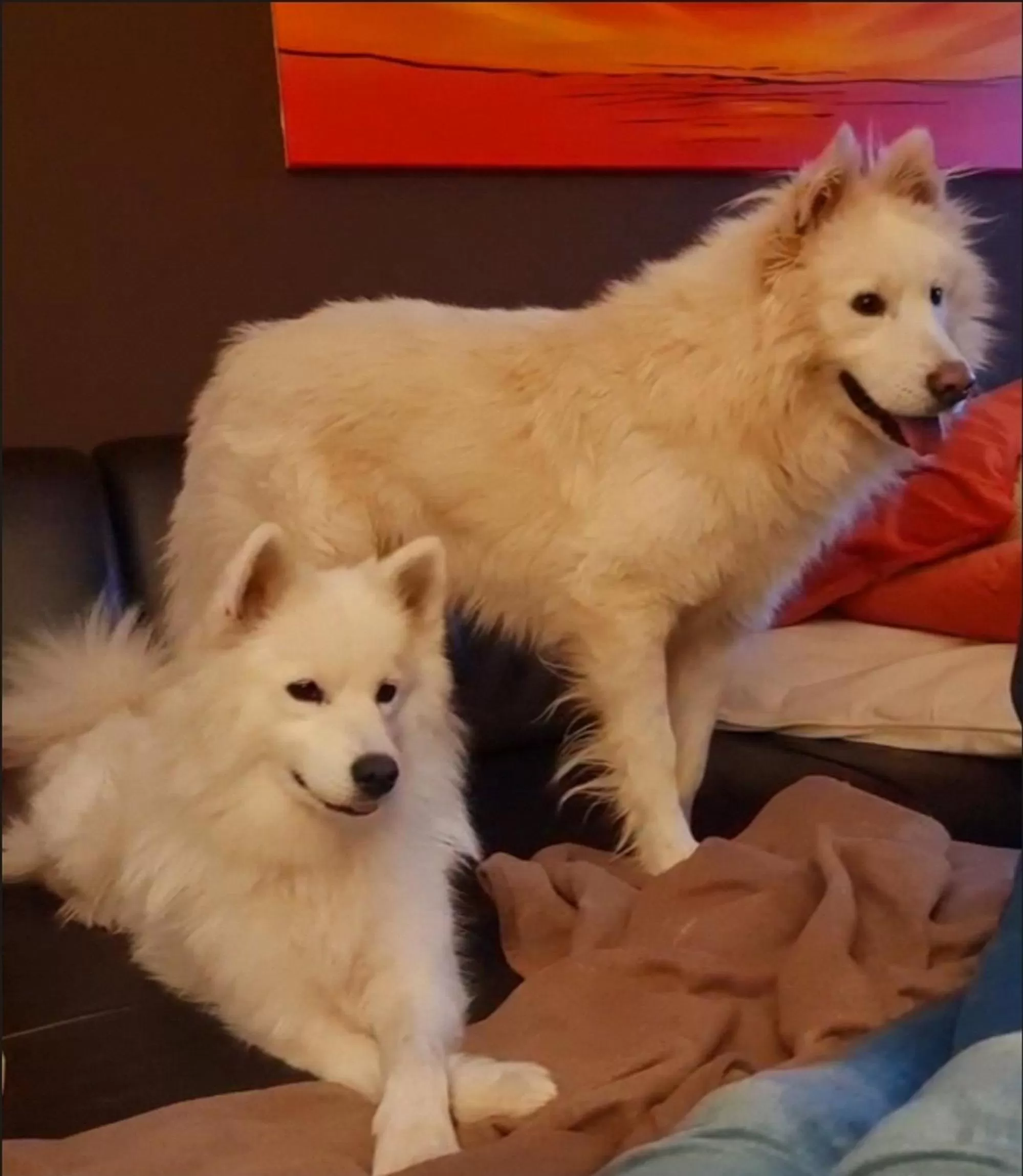 Schönste Lage am Rhein in unmittelbarer Stadtnähe, B & B