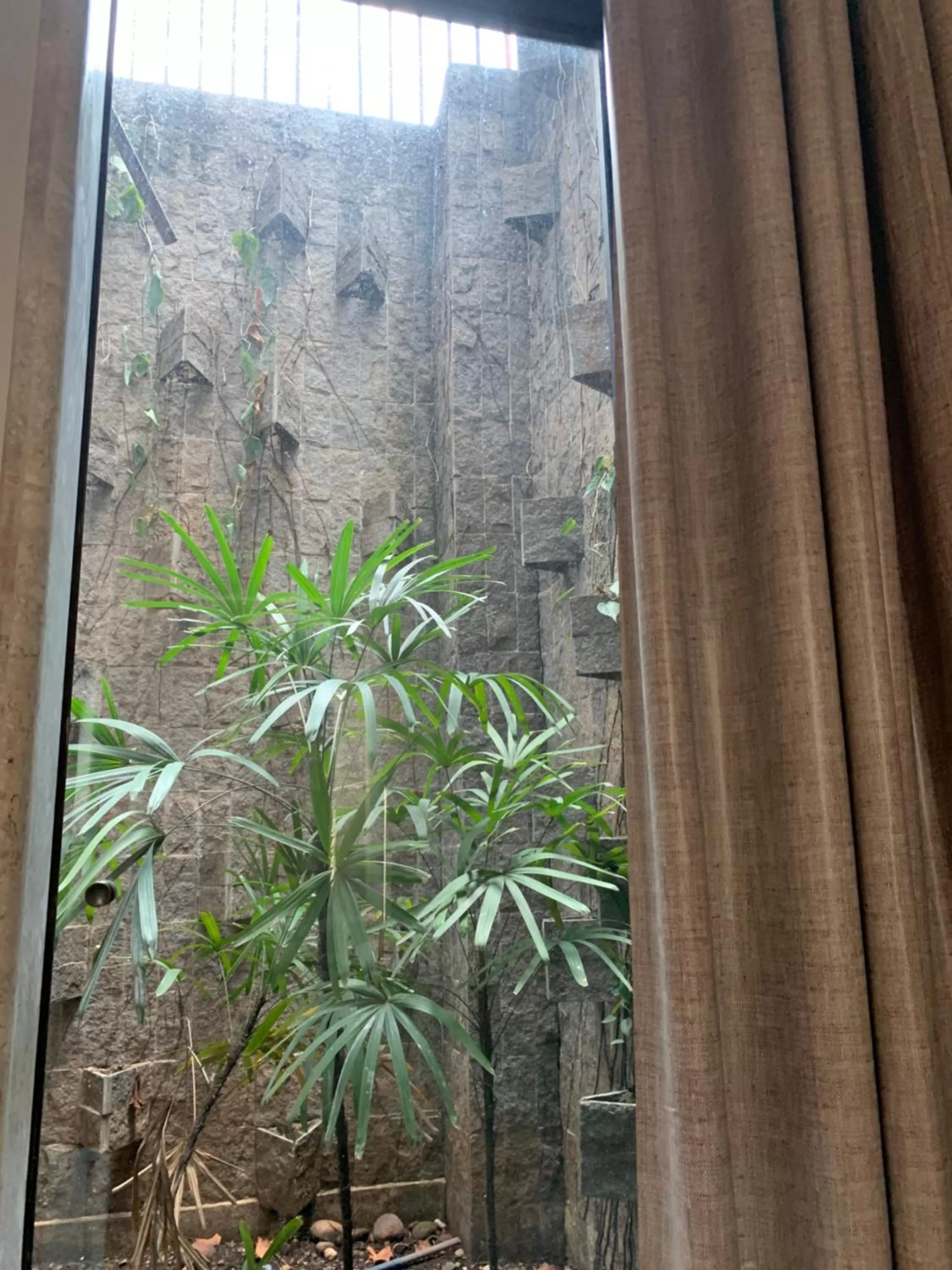 Garden view in SAMIR HOTEL COMFORT