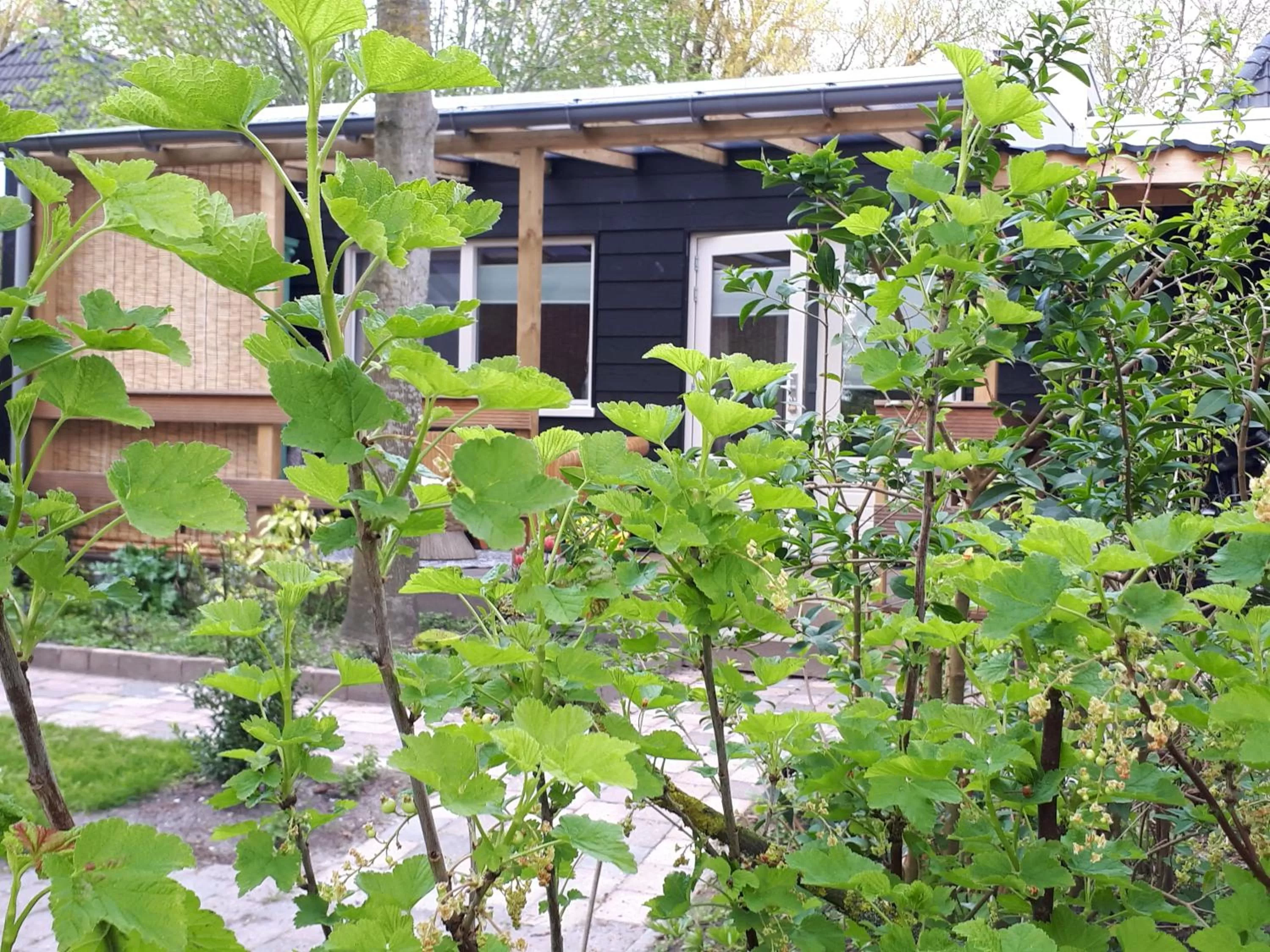 Property Building in B&B Het Molensteegje