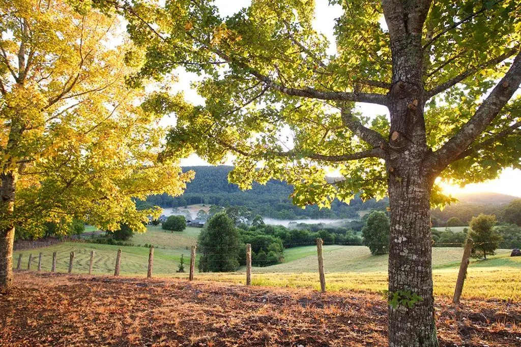 Clarendon Forest Retreat