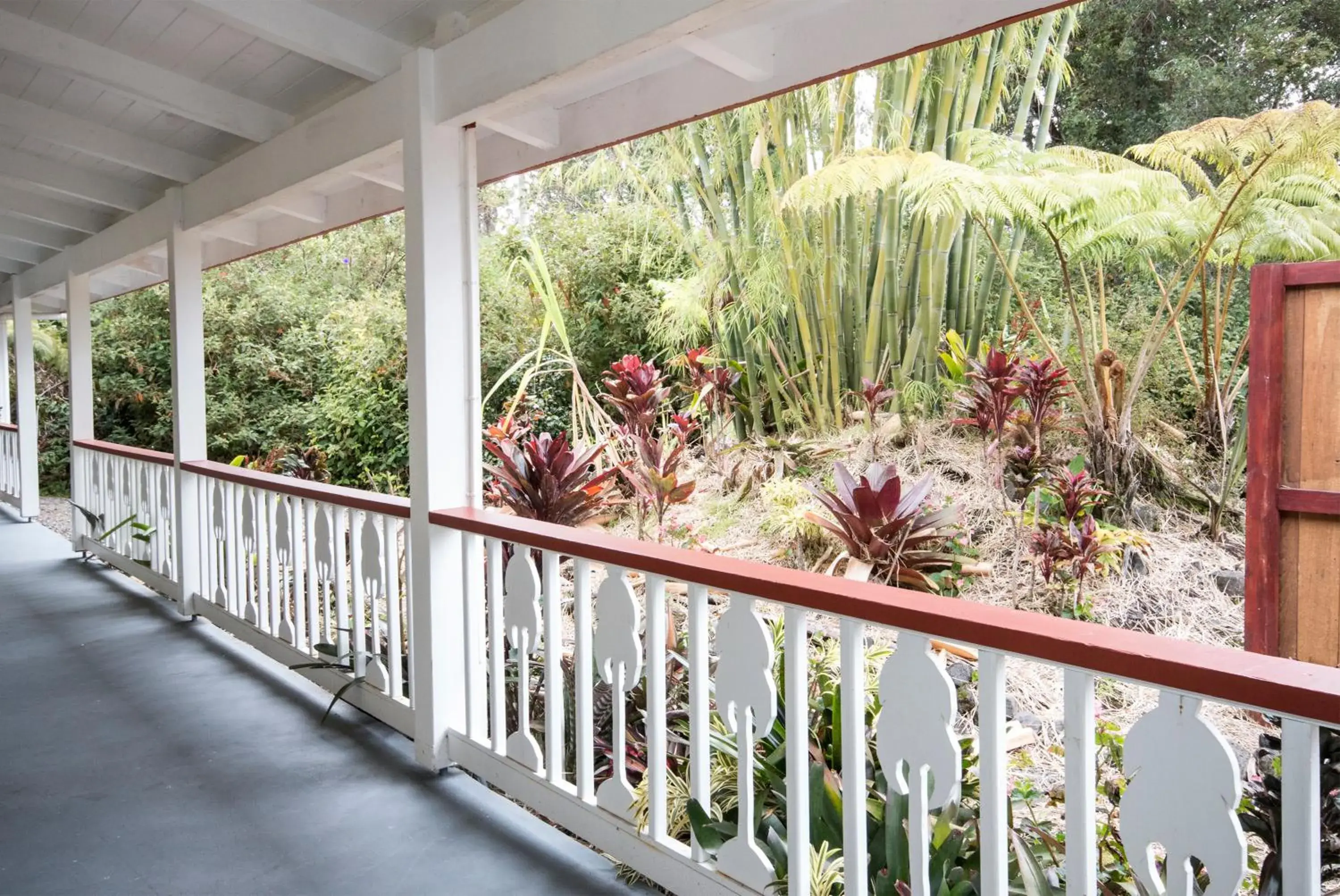 Garden view in Lokahi Lodge Garden view in Lokahi Lodge