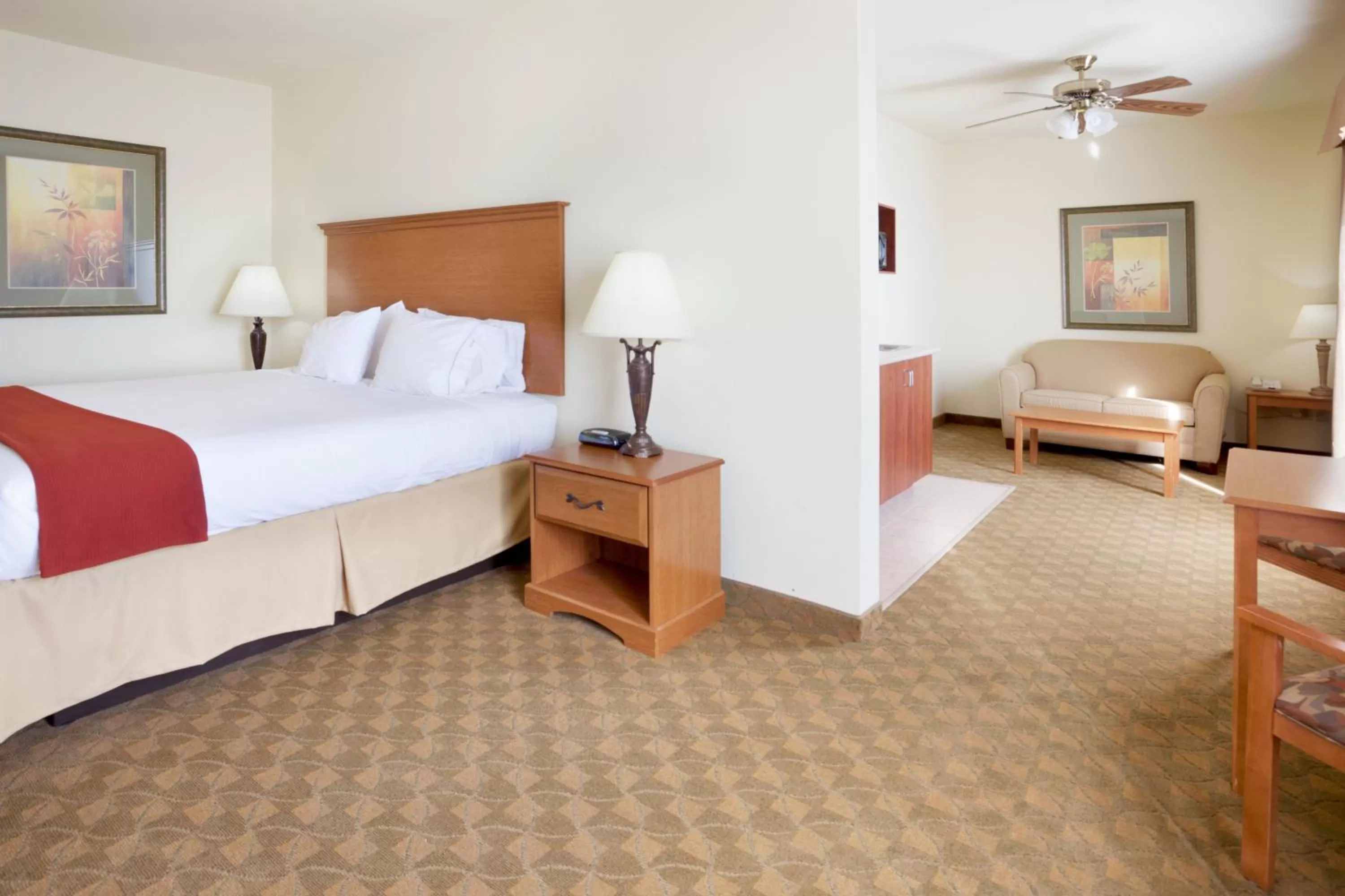Photo of the whole room, Bed in Holiday Inn Express Hotel & Suites Zapata by IHG