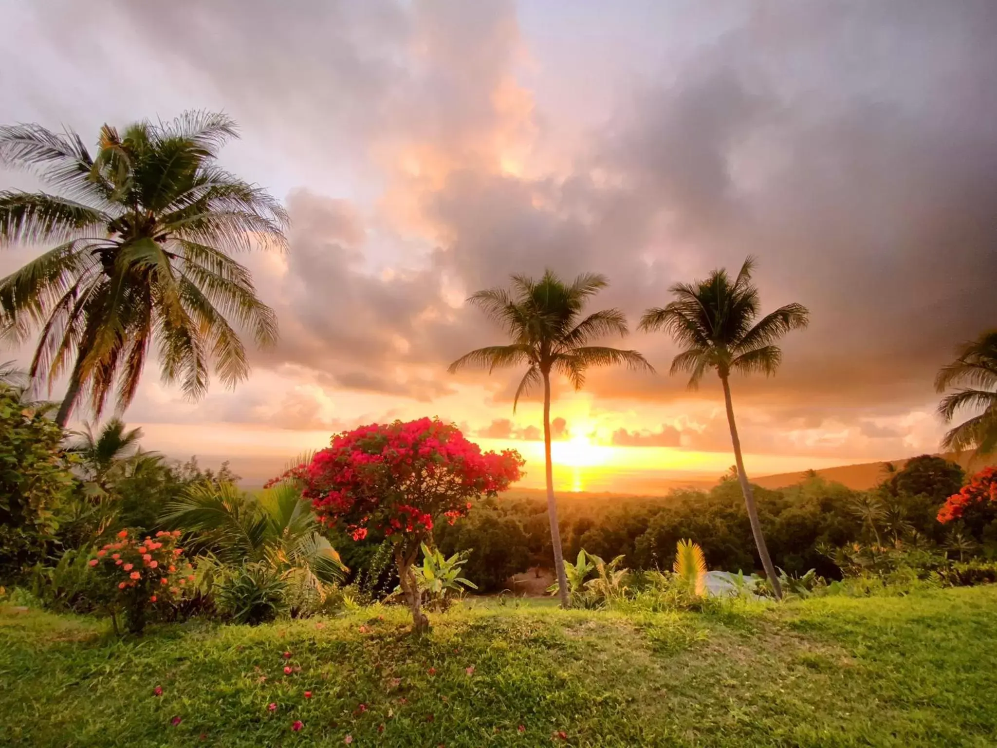 Sunrise/Sunset in Kona Bayview Inn