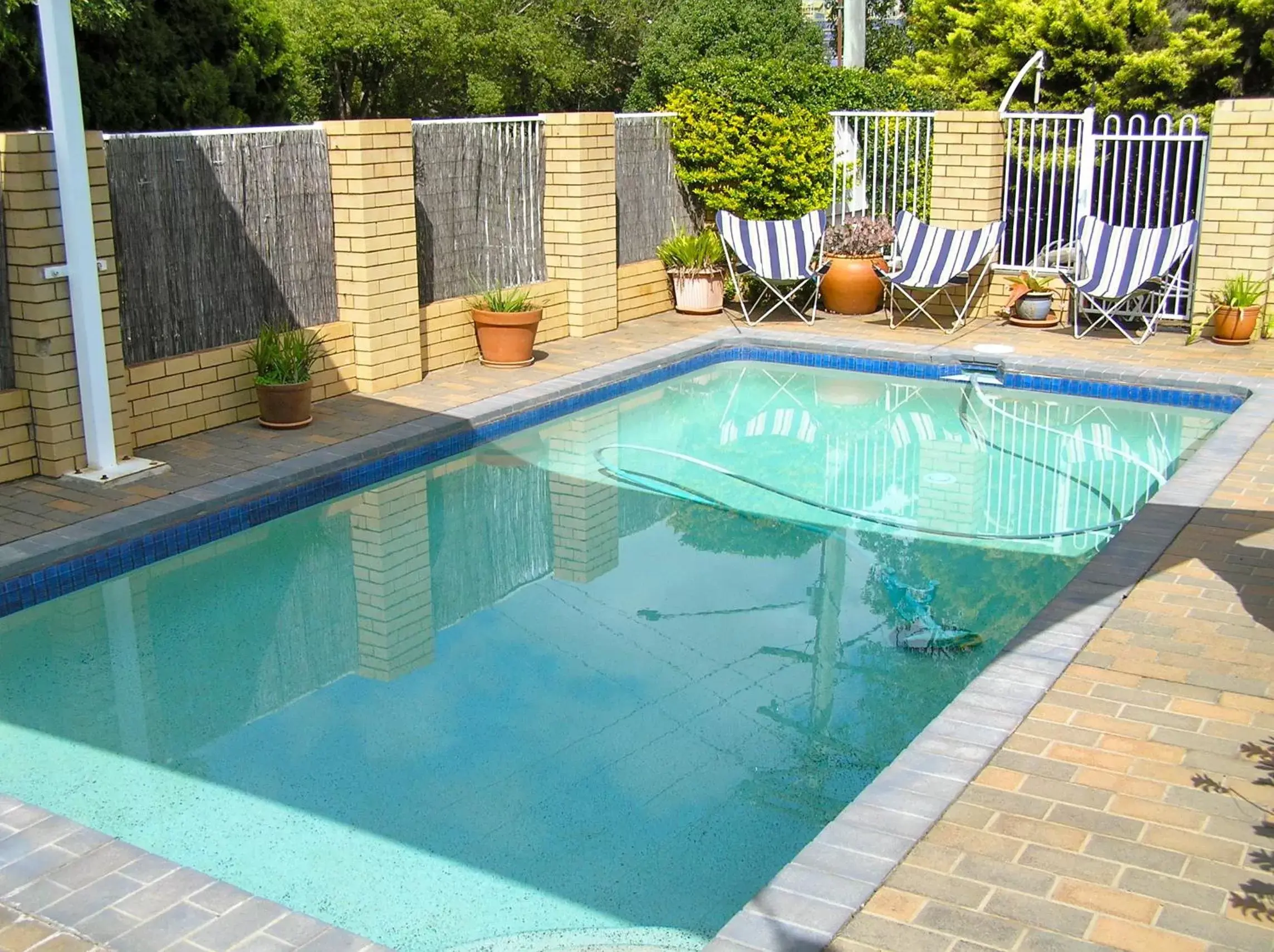 Other, Swimming Pool in Blue Violet Motor Inn