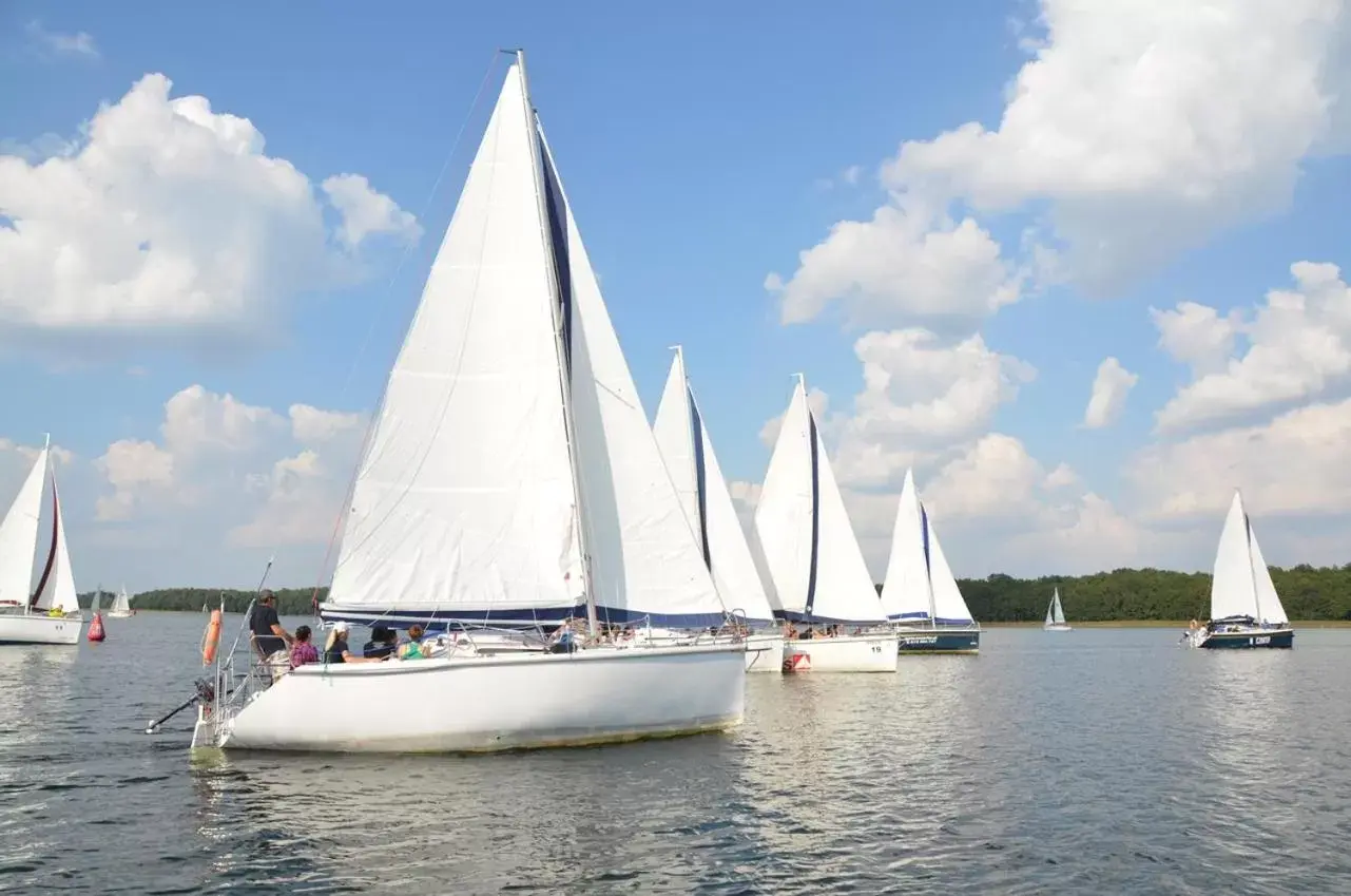 Activities, Windsurfing in Hotel St. Bruno