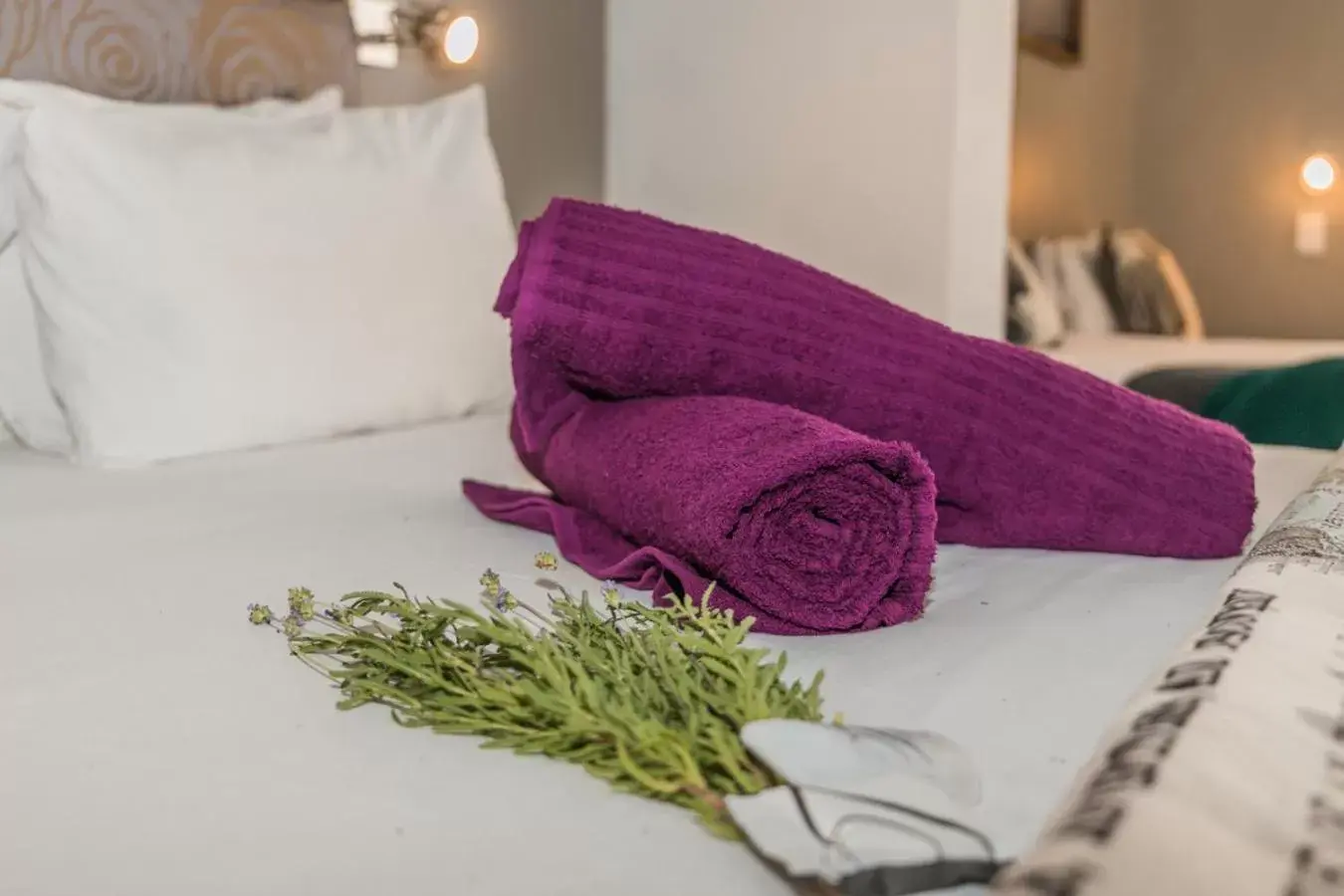 Family Room with Private Bathroom in Out of Africa Town Lodge Family Room with Private Bathroom in Out of Africa Town Lodge