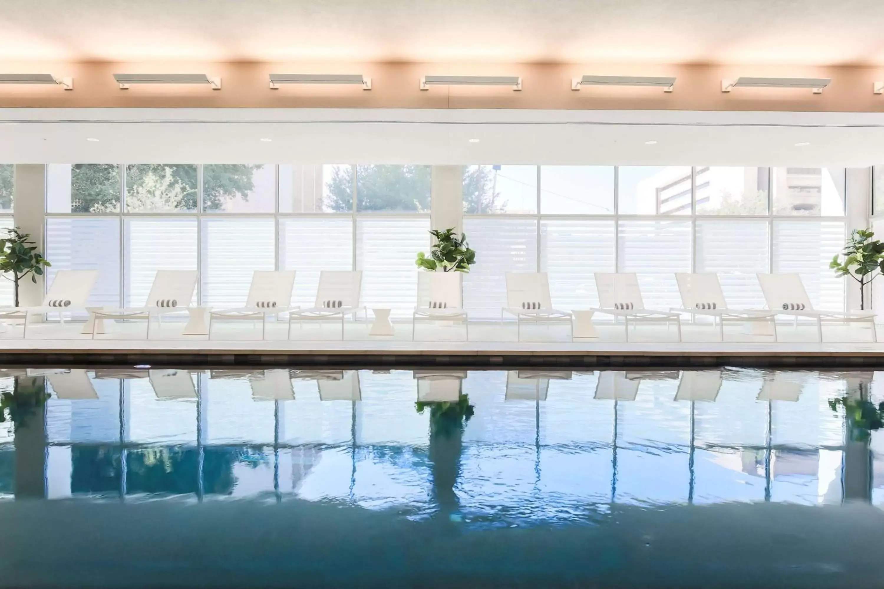 Pool view, Swimming Pool in Hampton Inn & Suites Dallas Downtown