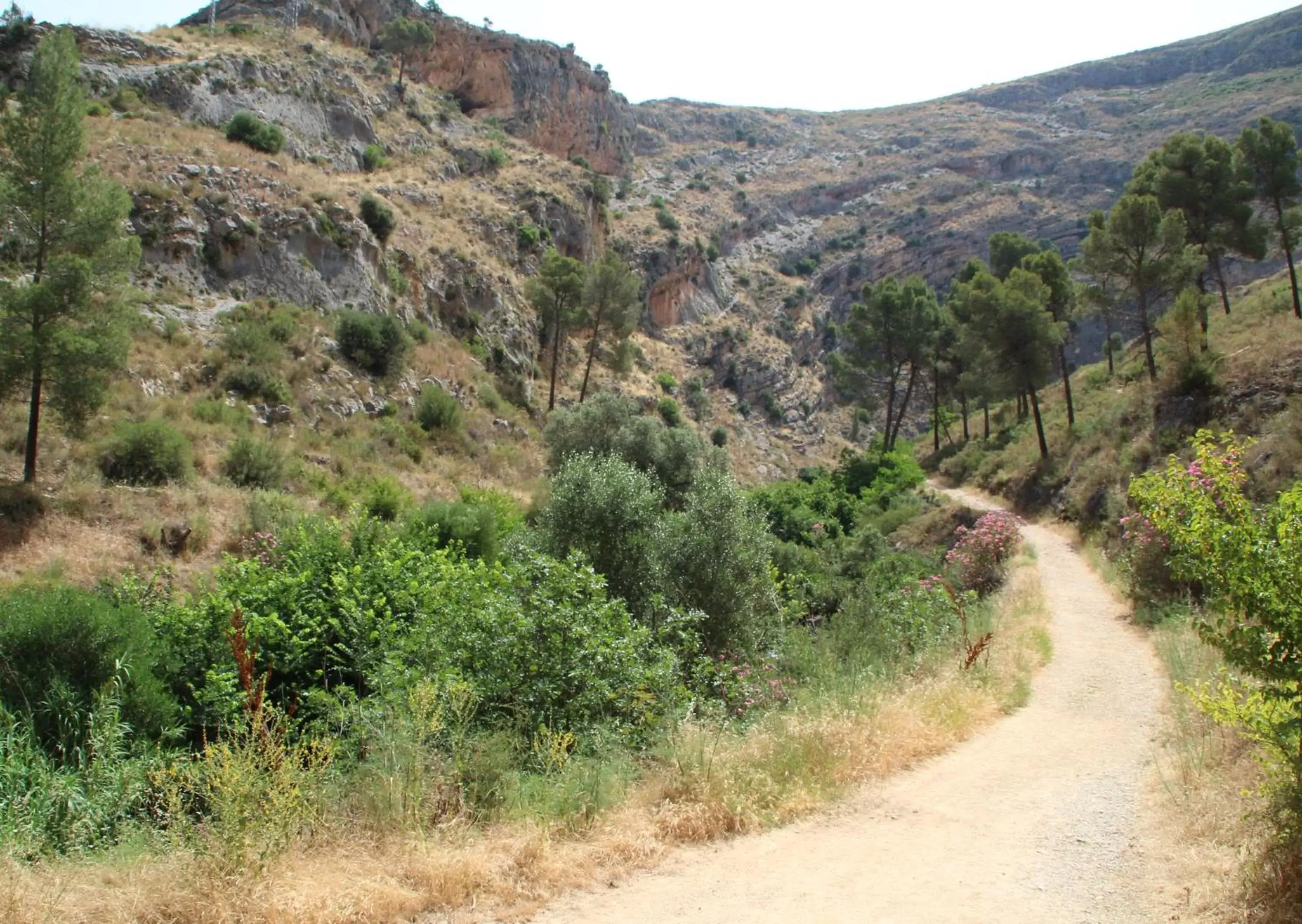 Natural landscape in Finca la Yuca