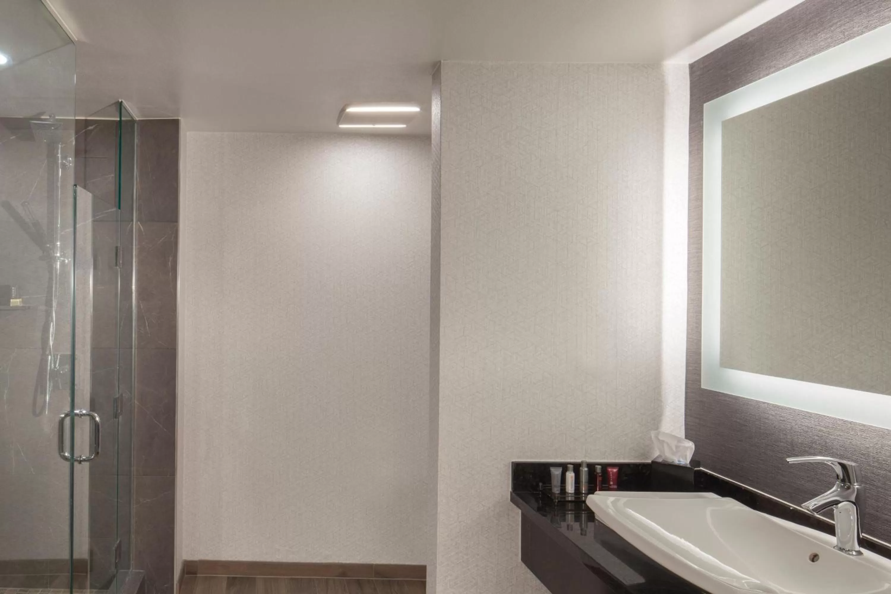 Bathroom in Dallas Marriott Downtown