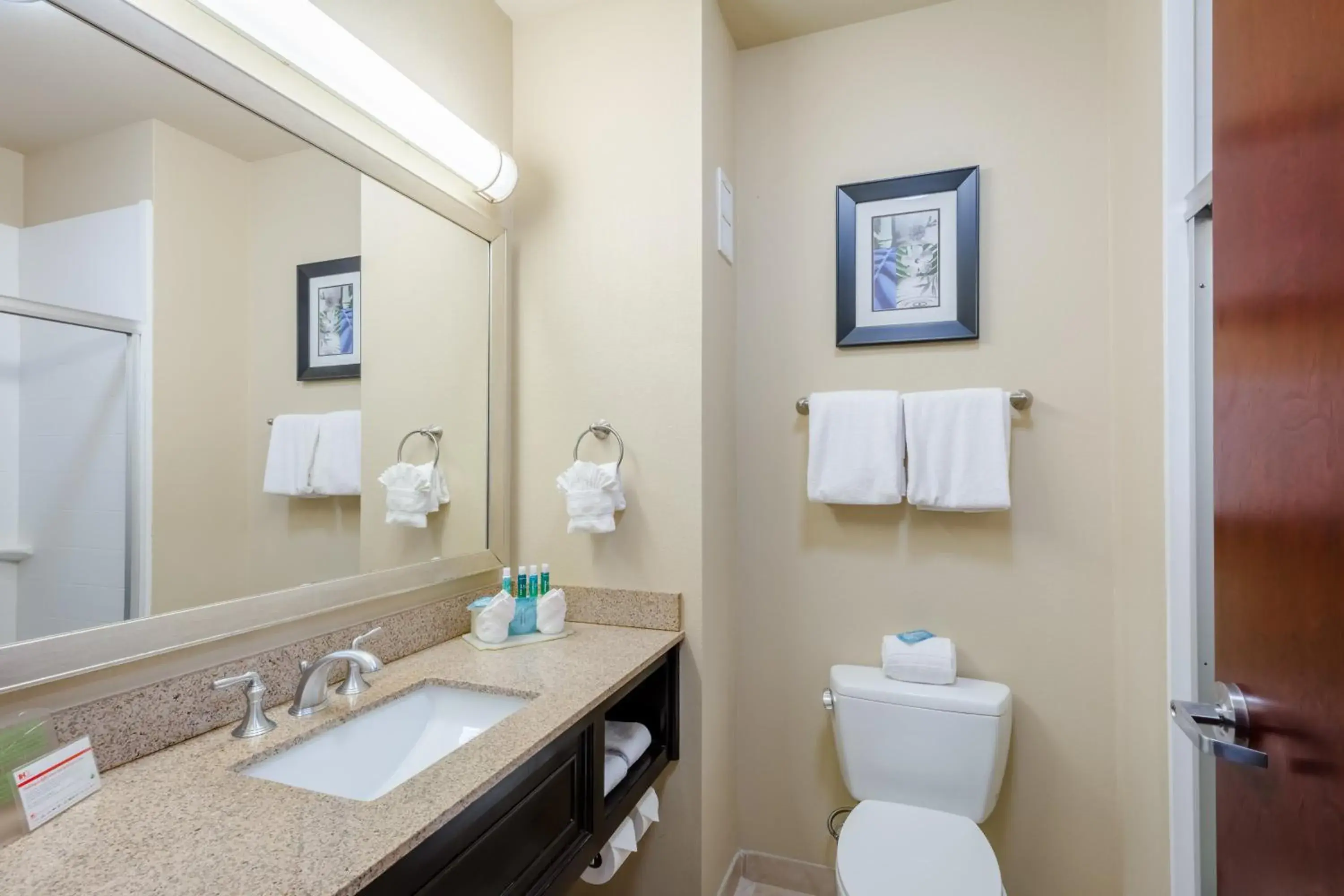 Bathroom in Holiday Inn Express Hotel & Suites Dallas West