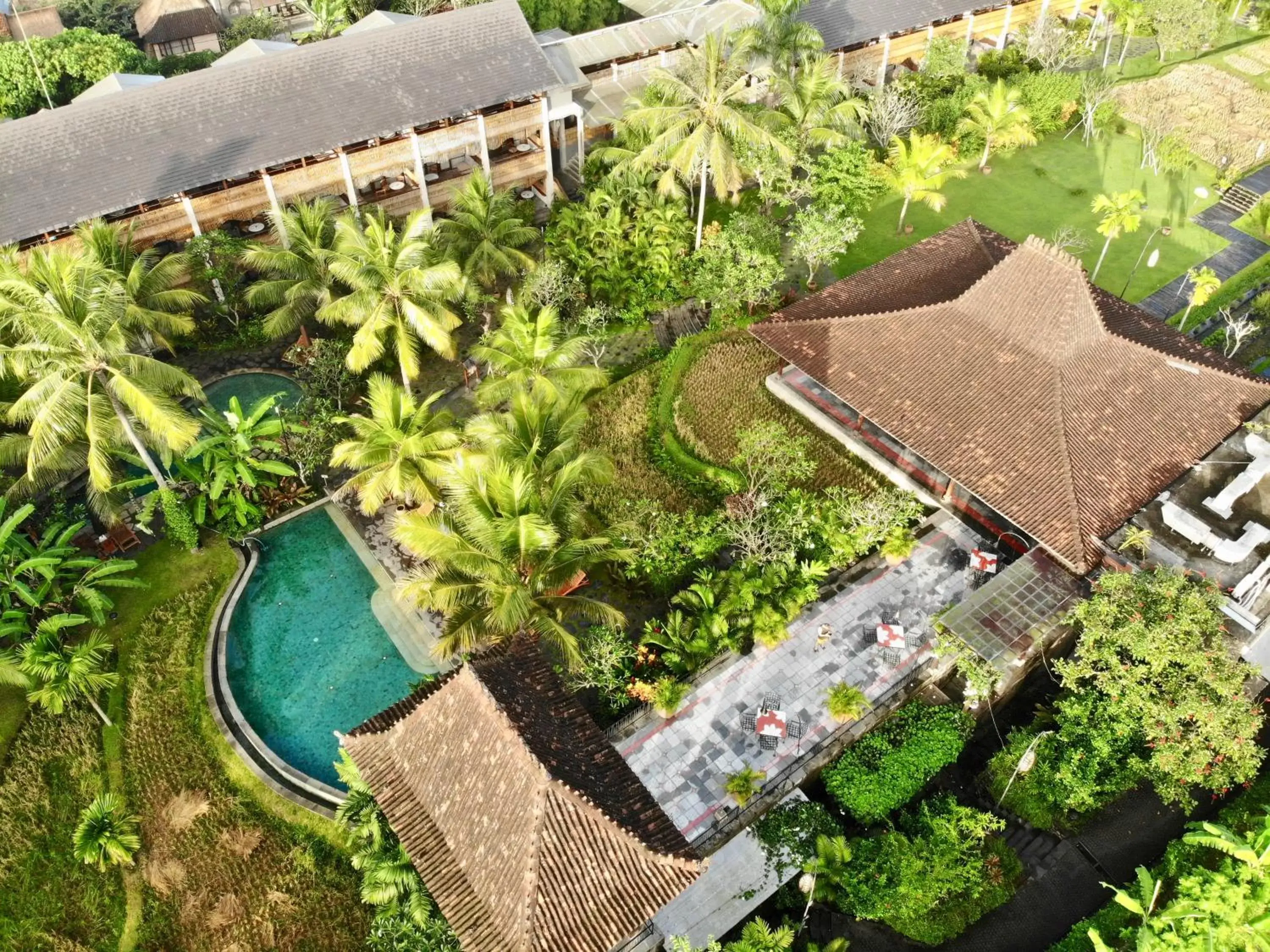 Bird's eye view, Bird's-eye View in Alaya Resort Ubud