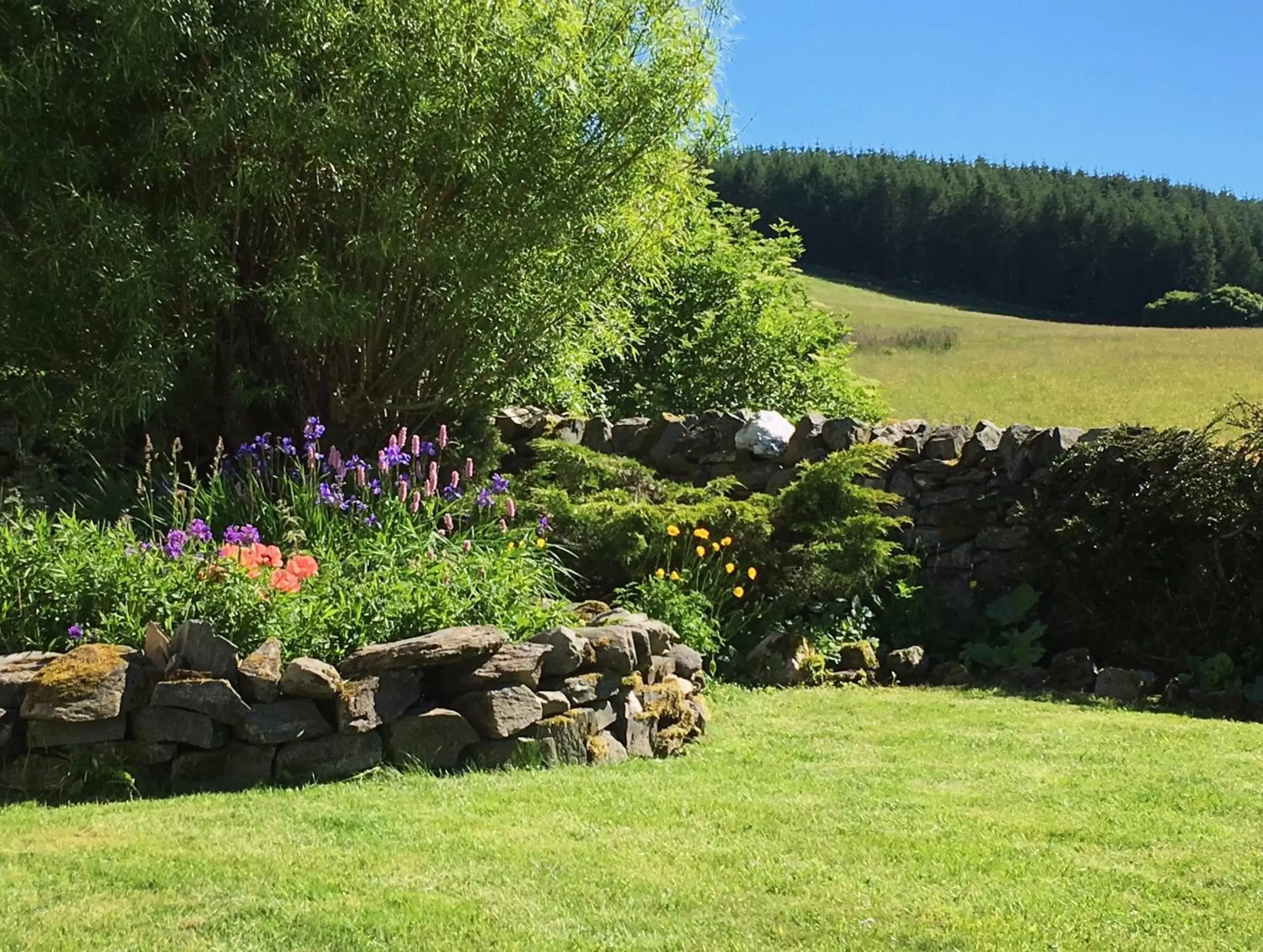 Garden in Errichel House and Cottages