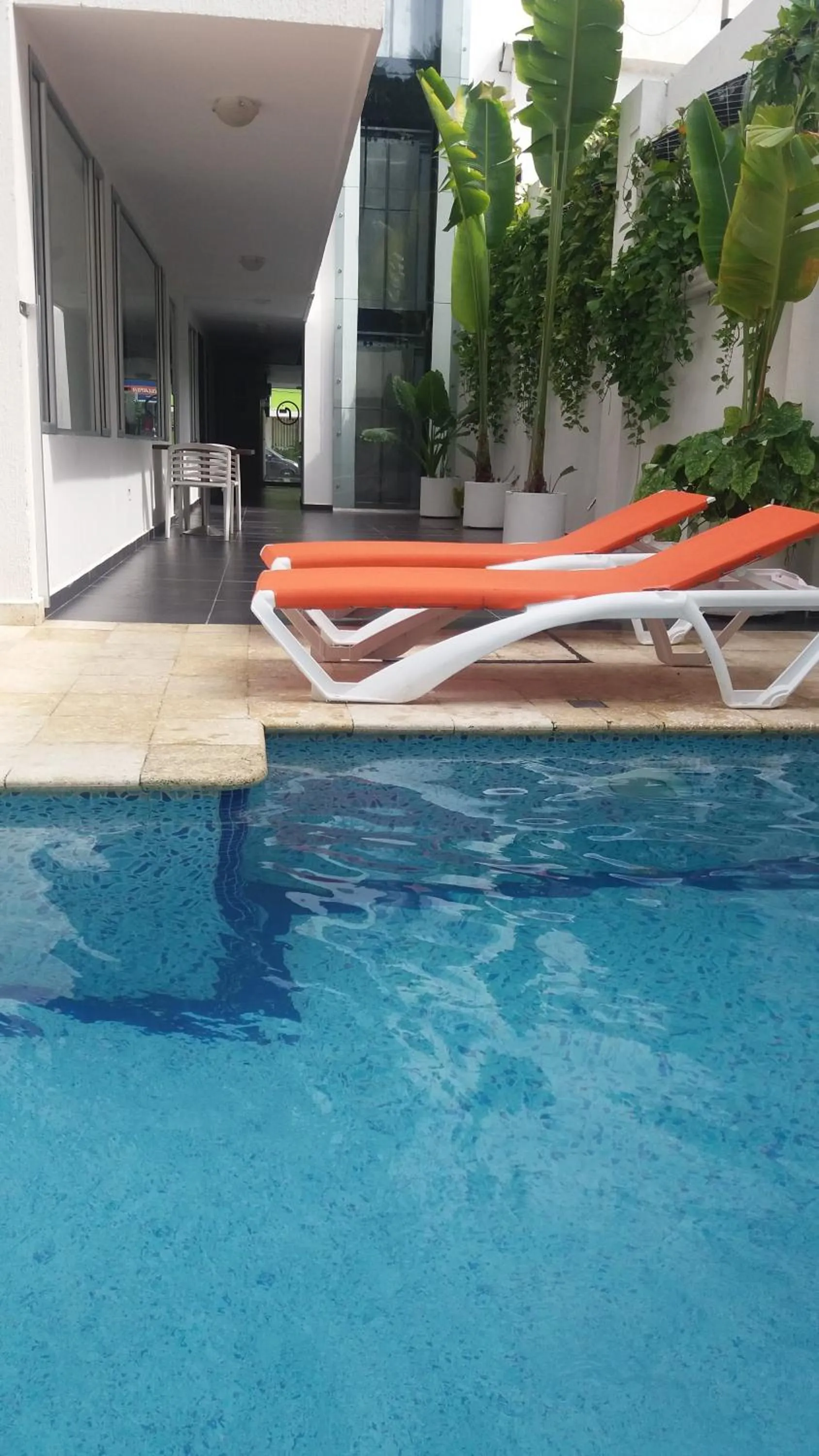 Swimming pool in Hotel Or Cartagena