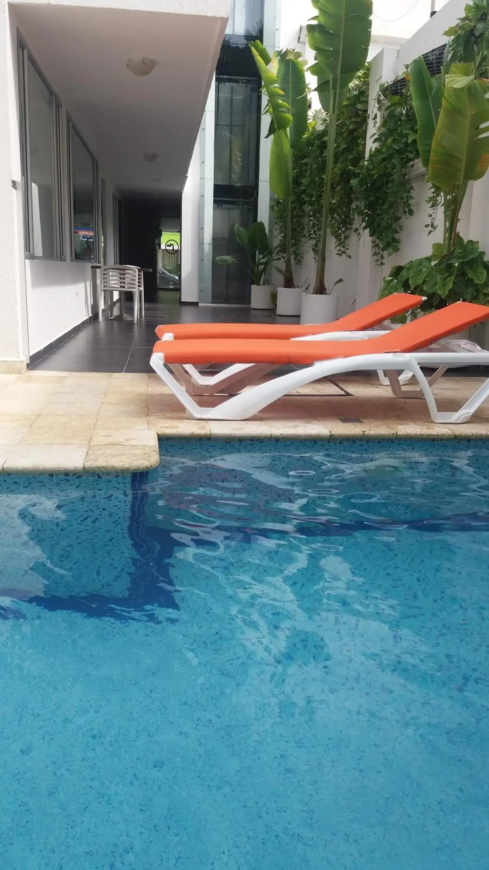 Swimming Pool in Hotel Or Cartagena