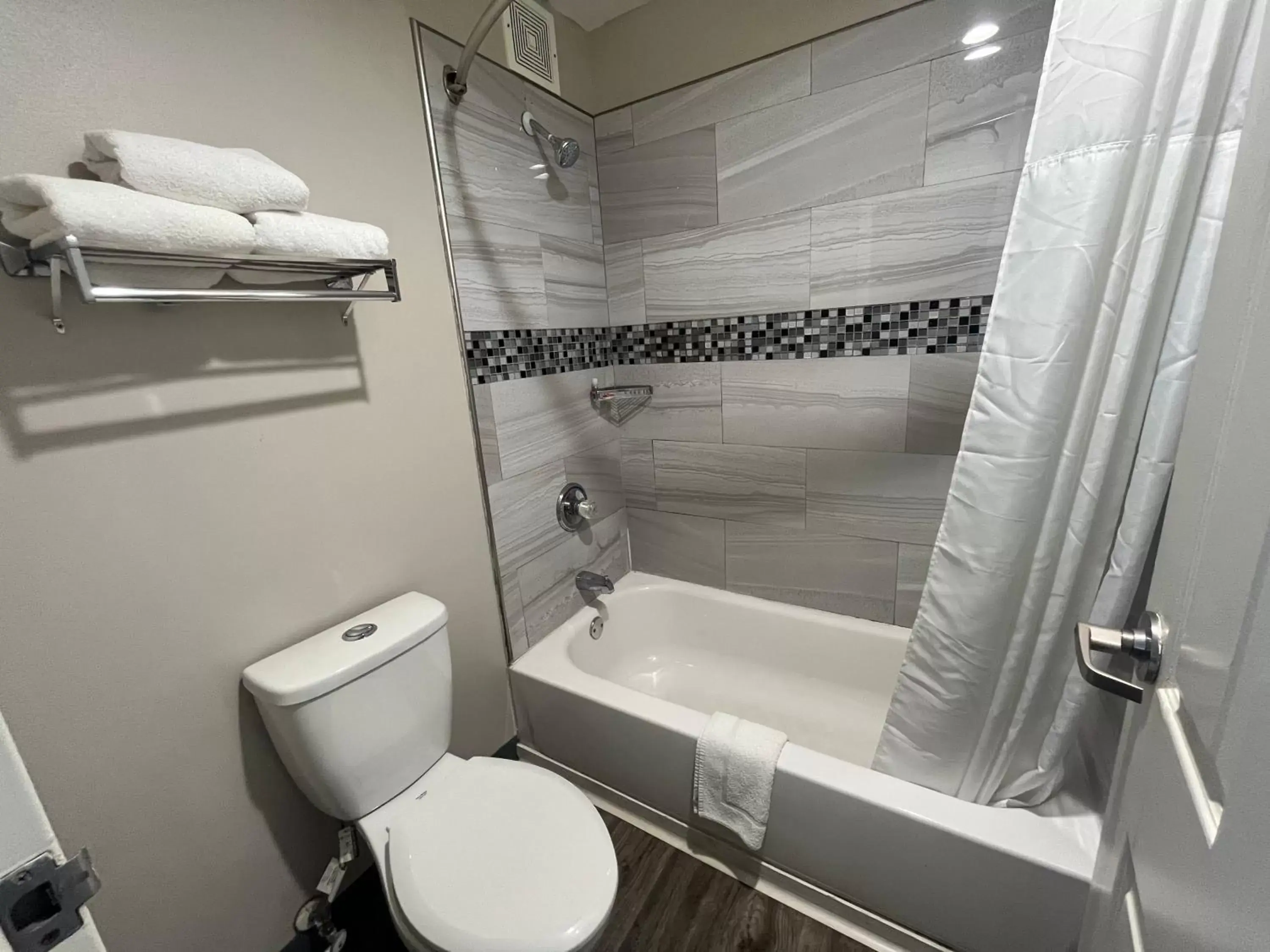 Toilet, Bathroom in Econo Lodge Inn & Suites Nashville SE Murfreesboro - MTSU