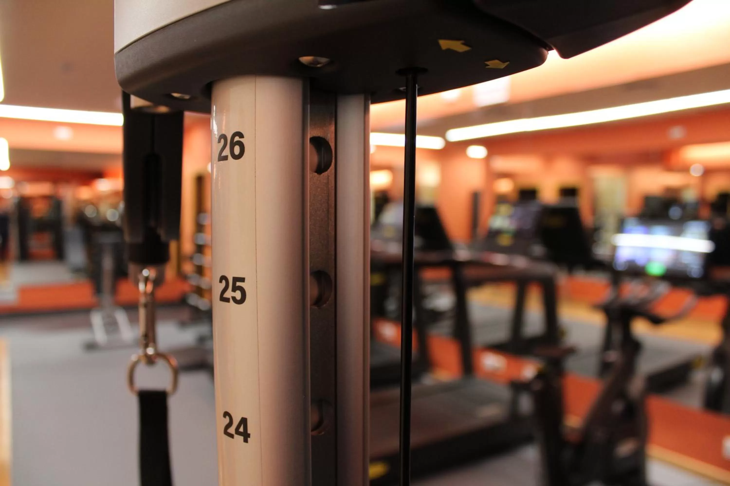 Fitness centre/facilities in Hotel Villamadrid