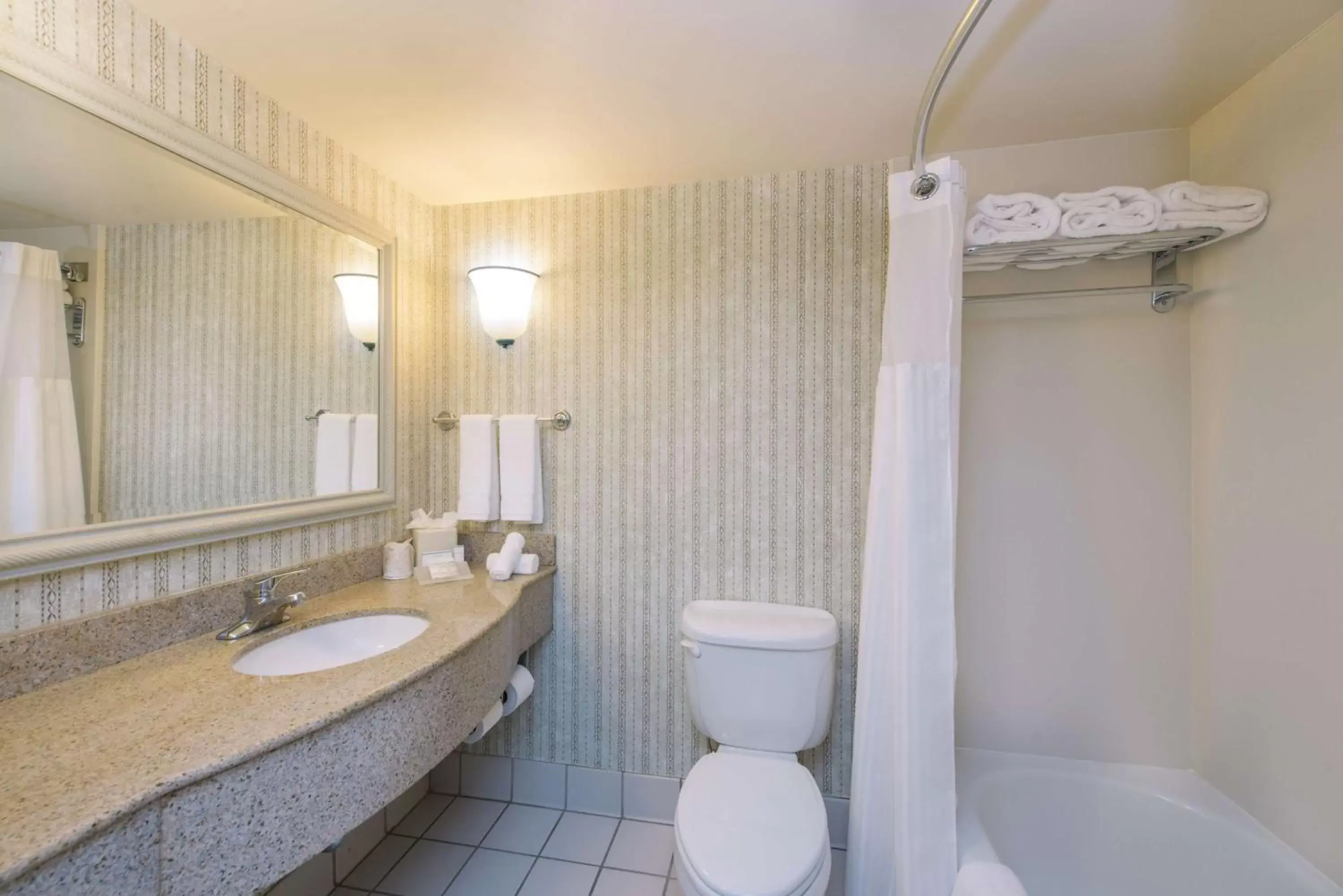 Bathroom in Hilton Garden Inn Poughkeepsie/Fishkill