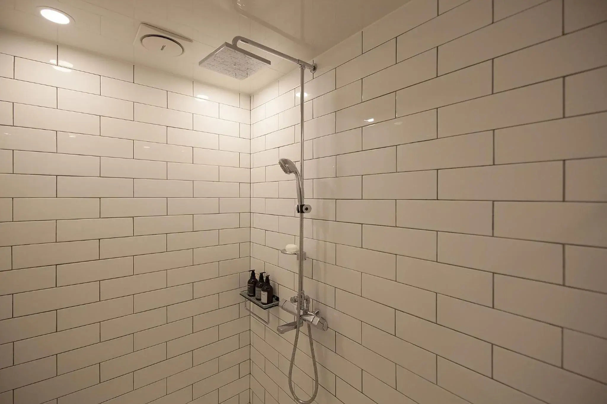 Shower, Bathroom in Hotel Gray