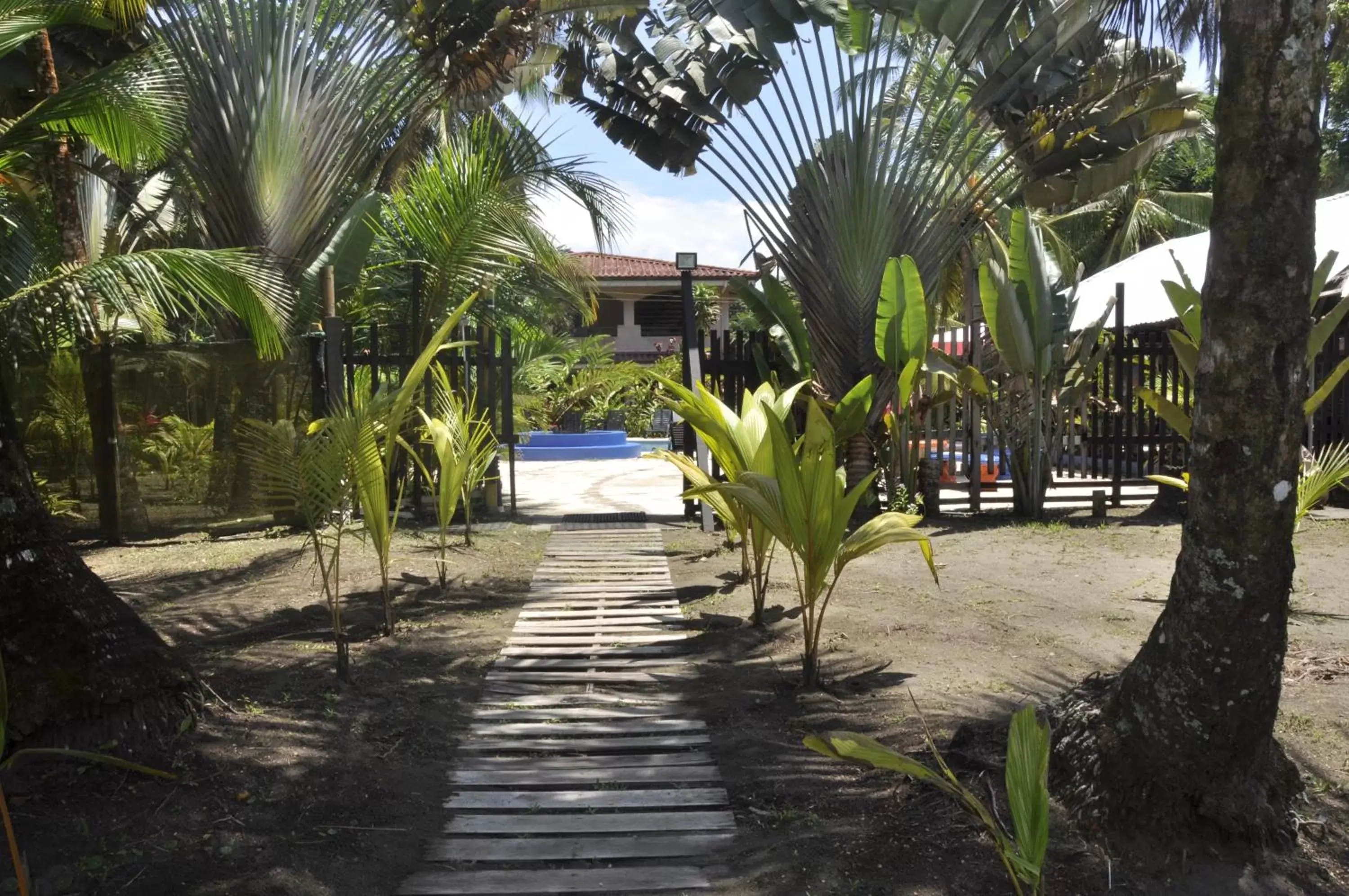 Natural landscape, Swimming Pool in Hotel Playa Westfalia