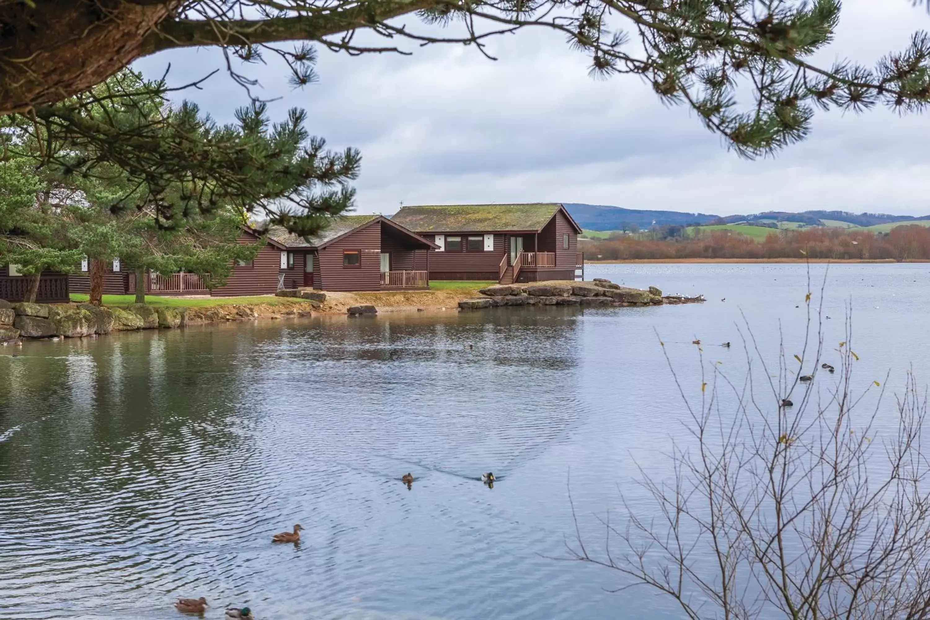 Lake view, Property Building in Pine Lake Resort