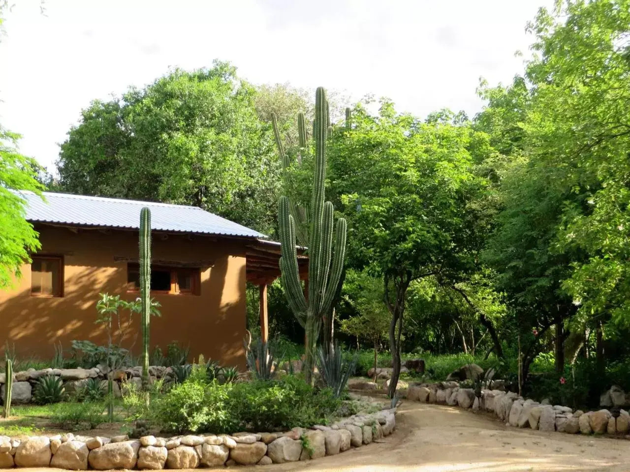 View (from property/room), Property Building in El Pedregal - Hotel en la Naturaleza