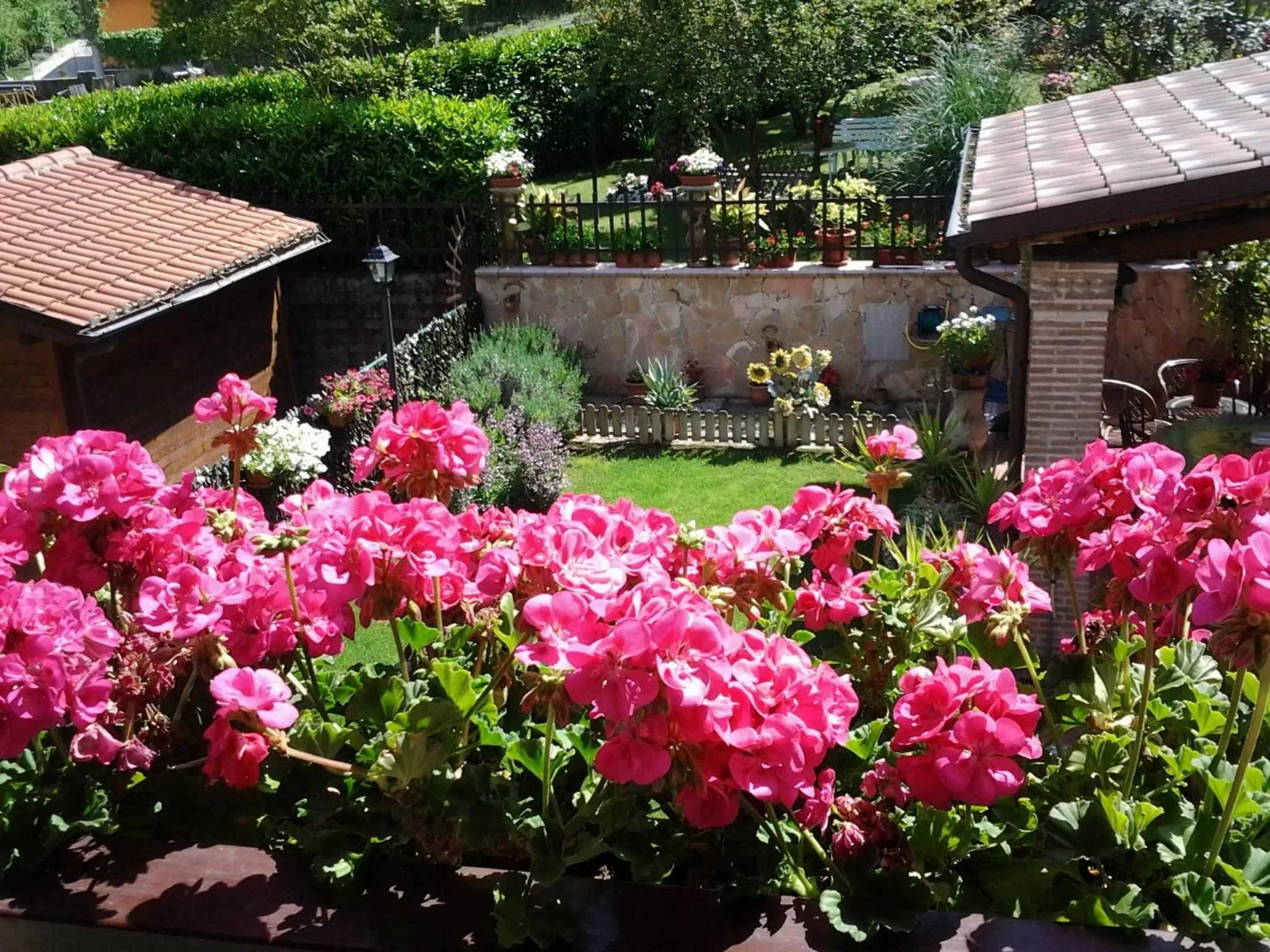 Garden view in Casa del Girasole