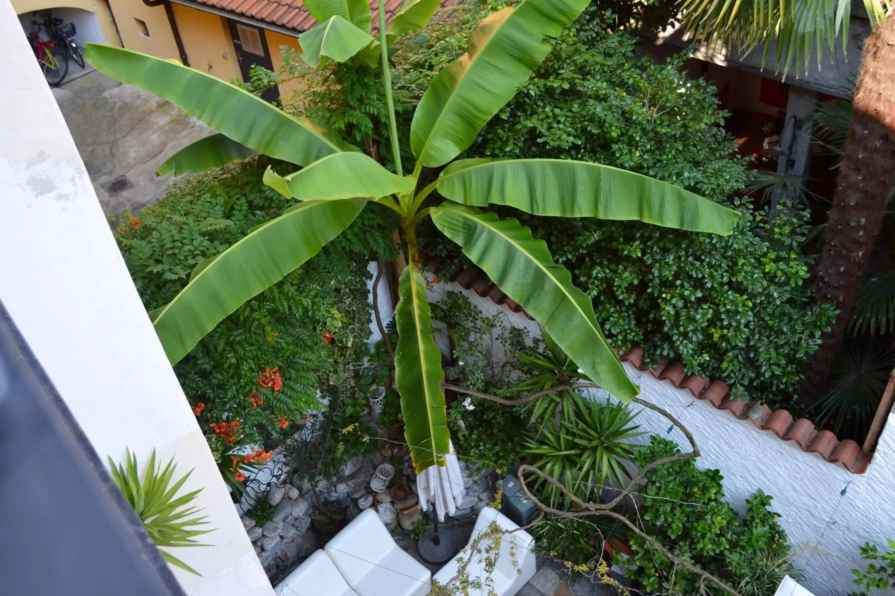 Patio, Garden in Caffè dell'Arte Boutique Rooms