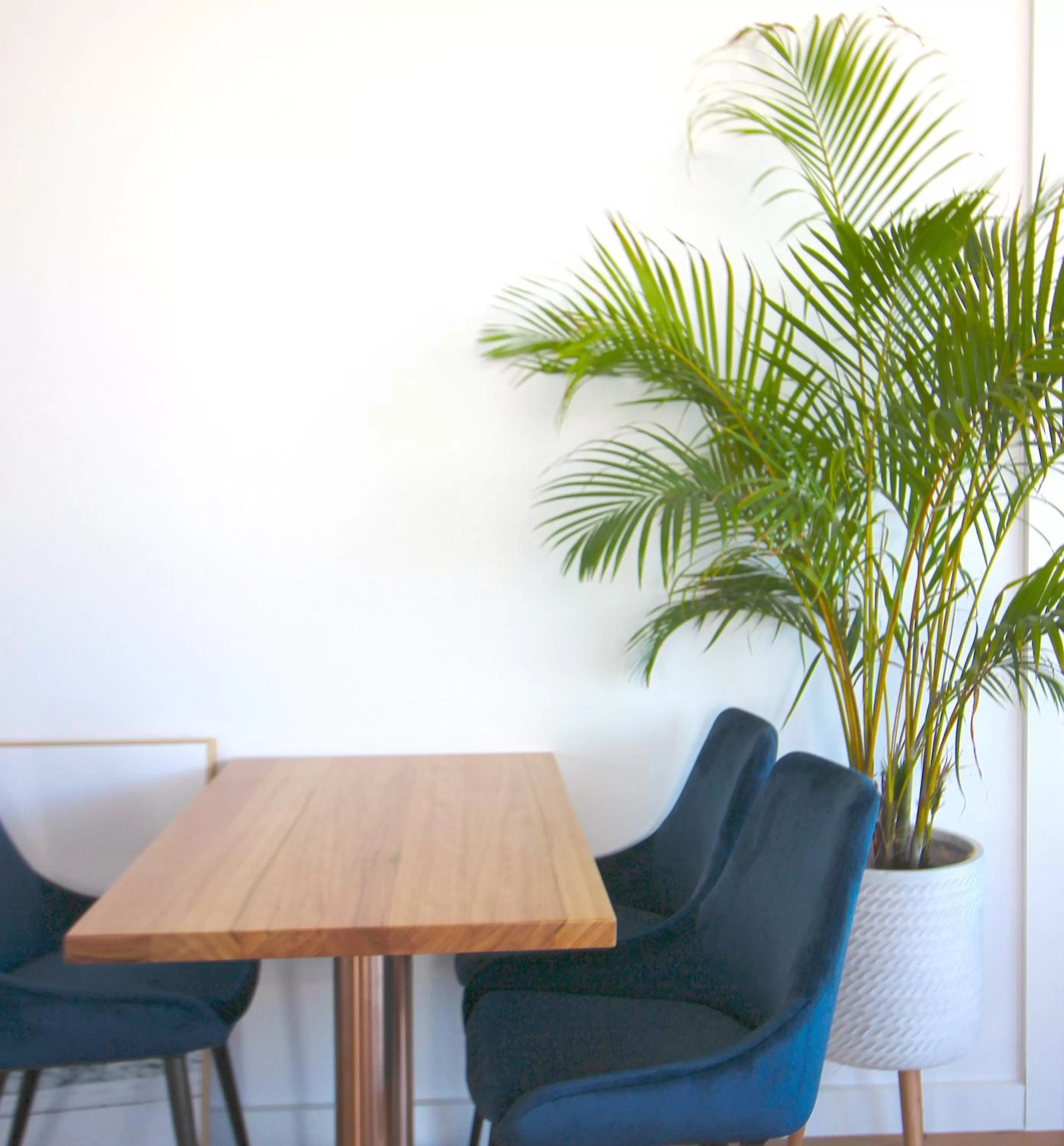 Living room in Batemans Bay Lodge