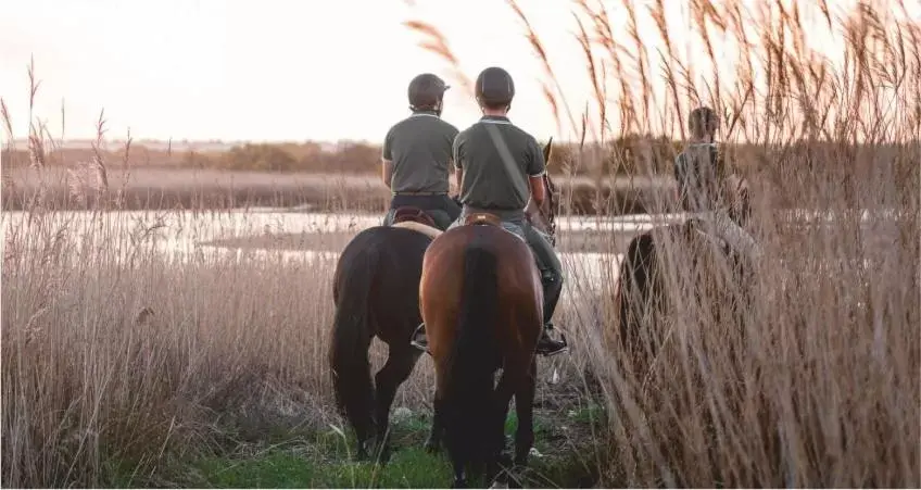 Horse-riding, Horseback Riding in Casa dos Pingos de Mel