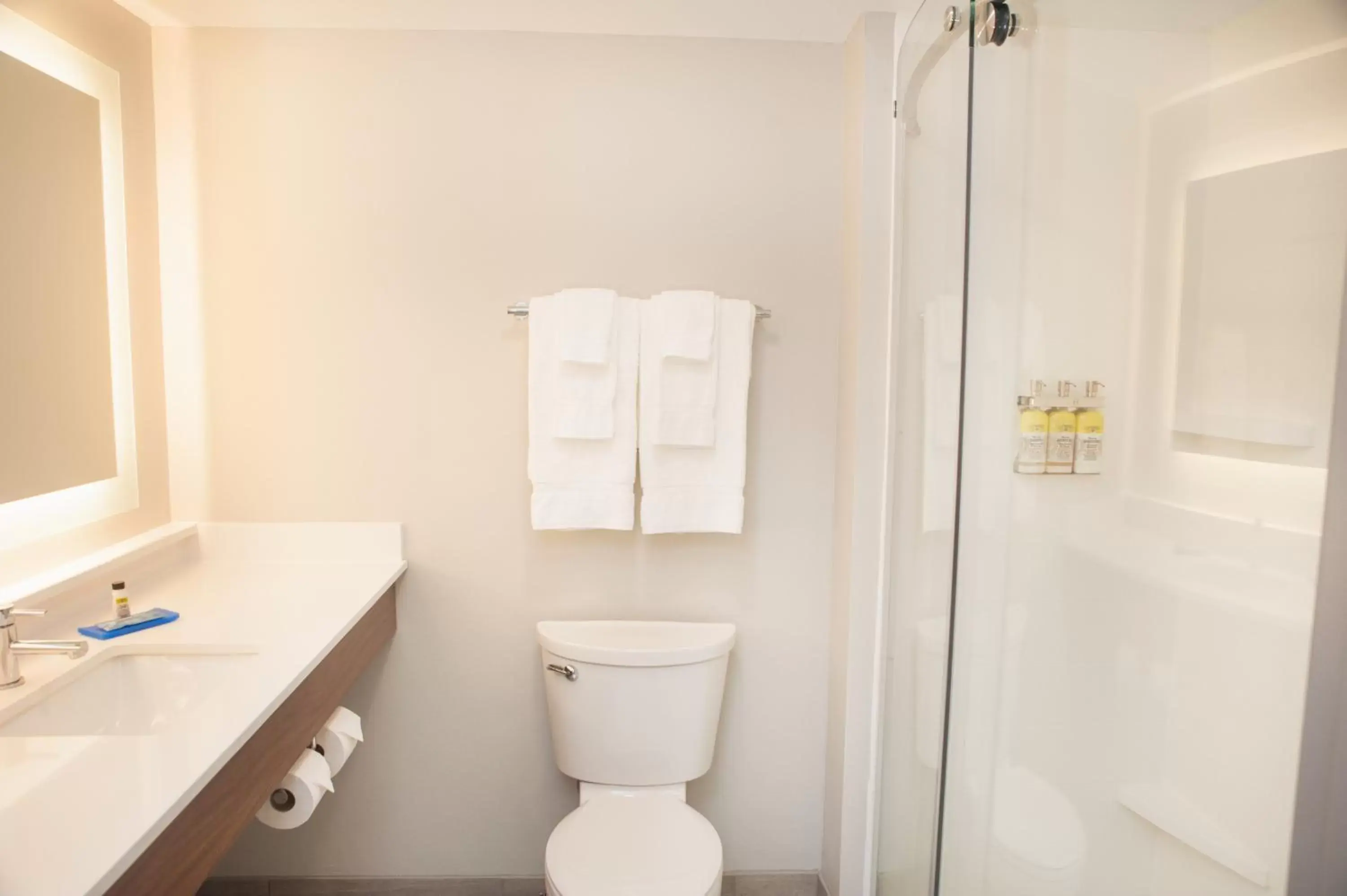 Bathroom in Holiday Inn Express Hotel & Suites Norfolk, an IHG Hotel