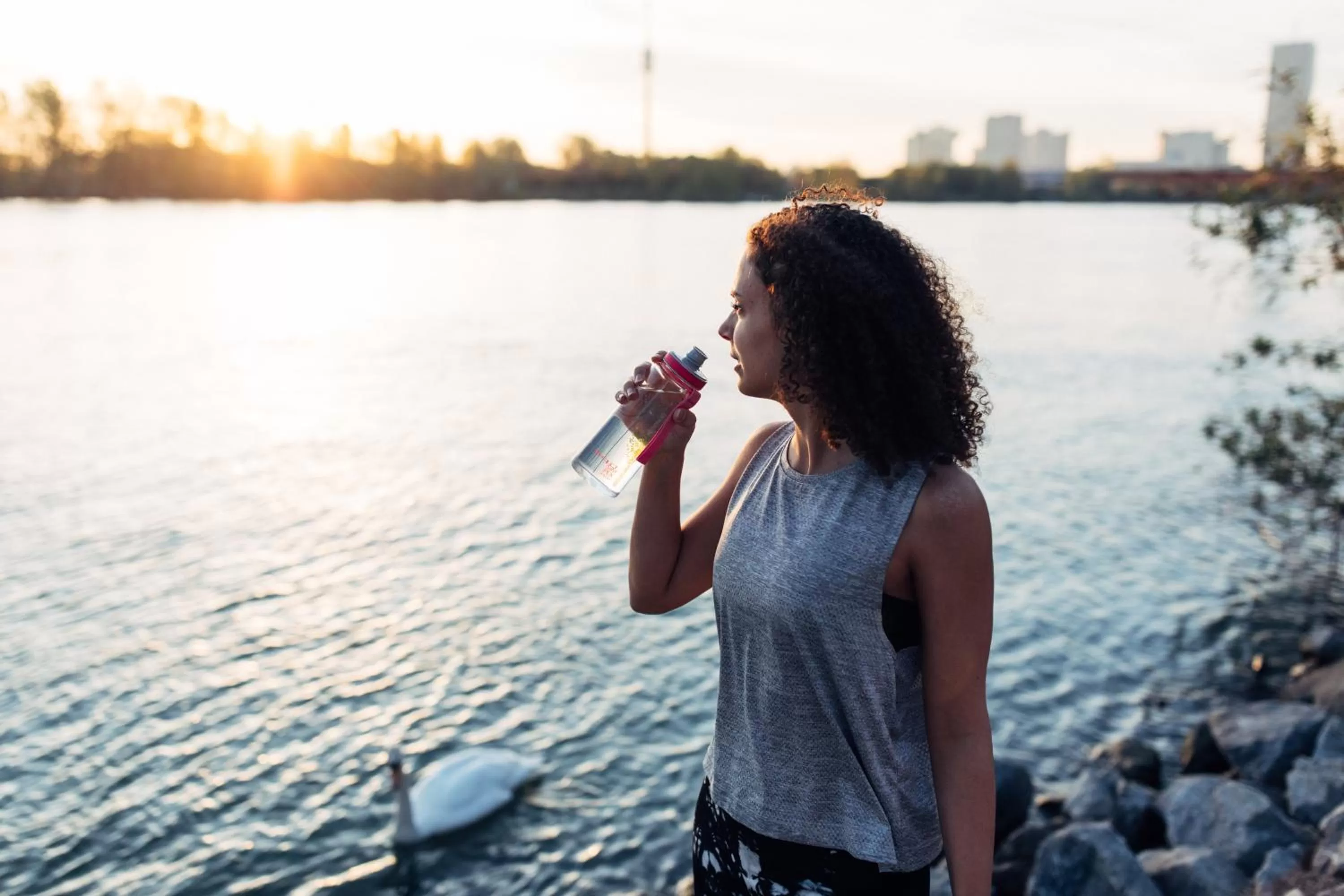 Sports in harry's home Wien hotel & apartments