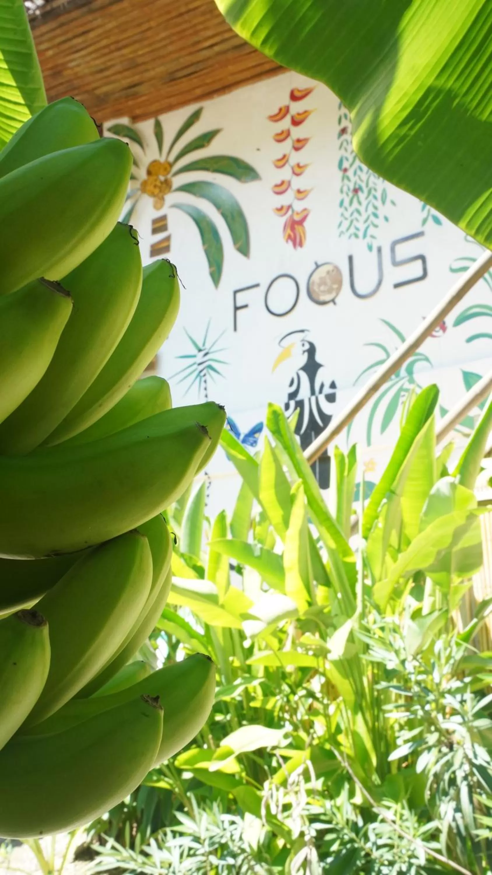 Garden view in Focus Rooms