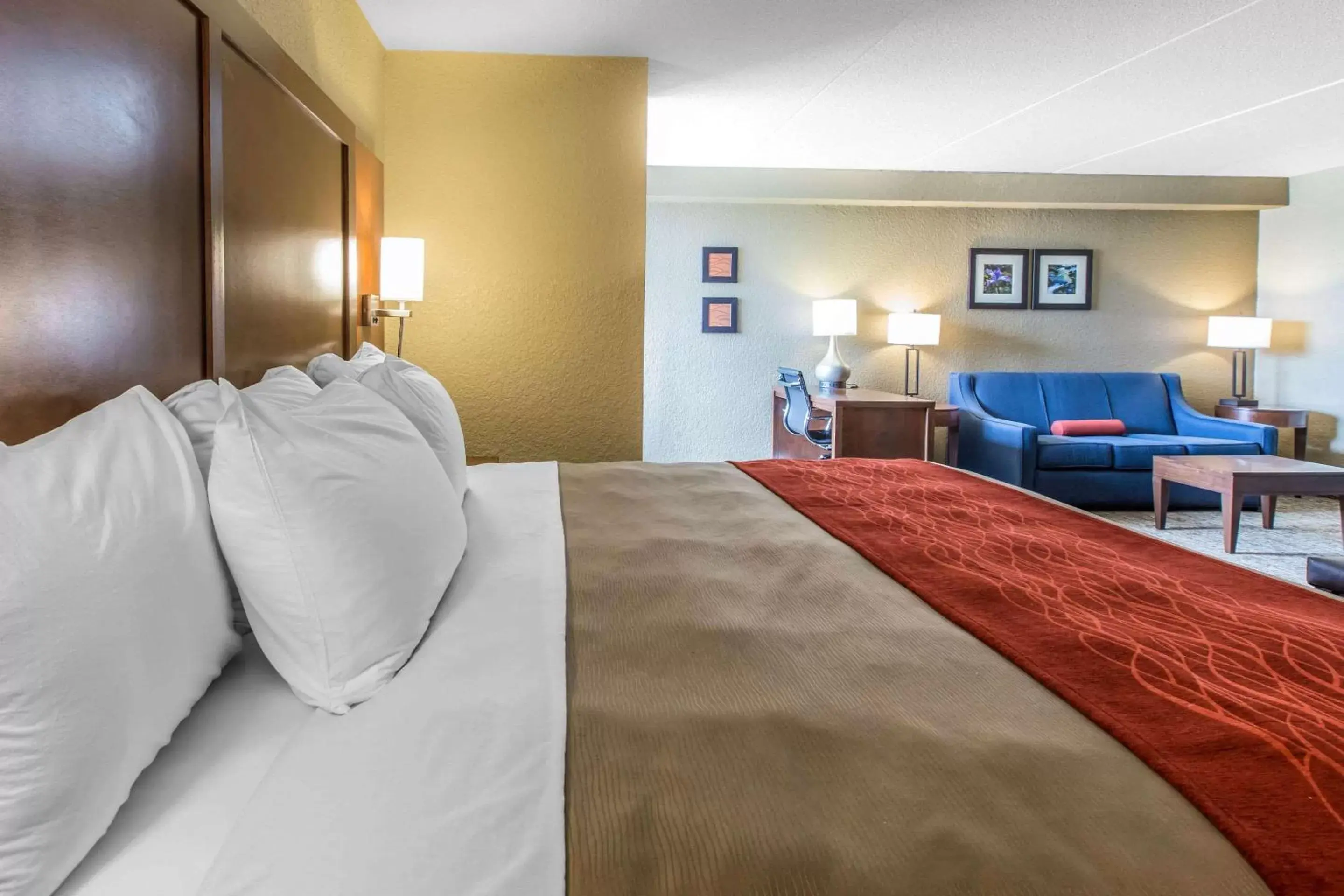 Photo of the whole room, Bed in Comfort Inn & Suites Knoxville West