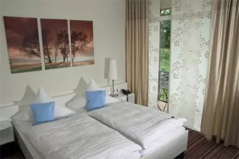 Double Room - single occupancy in Hotel Blauer Fasan Double Room - single occupancy in Hotel Blauer Fasan