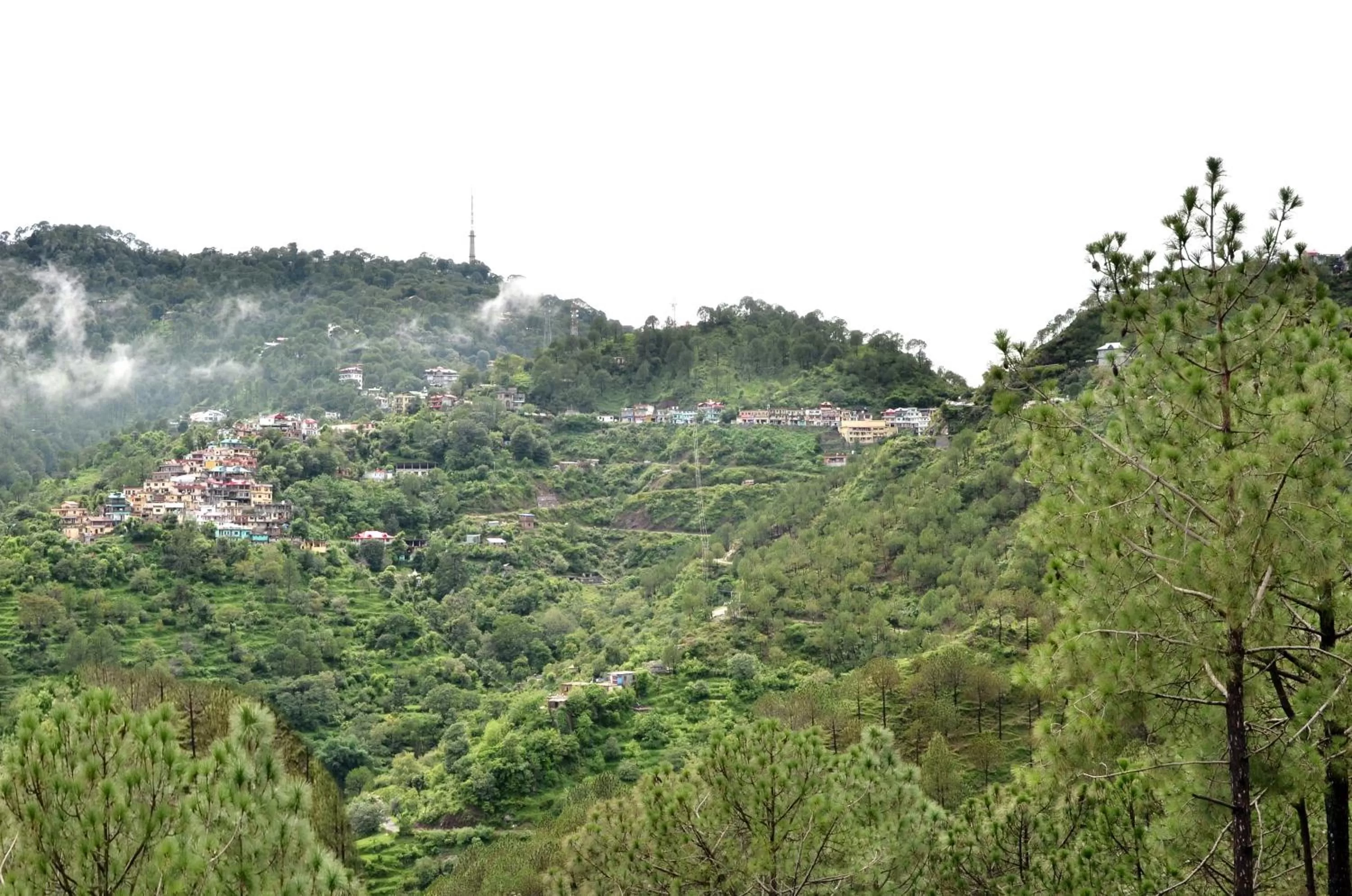 View (from property/room) in Ramada by Wyndham Kasauli