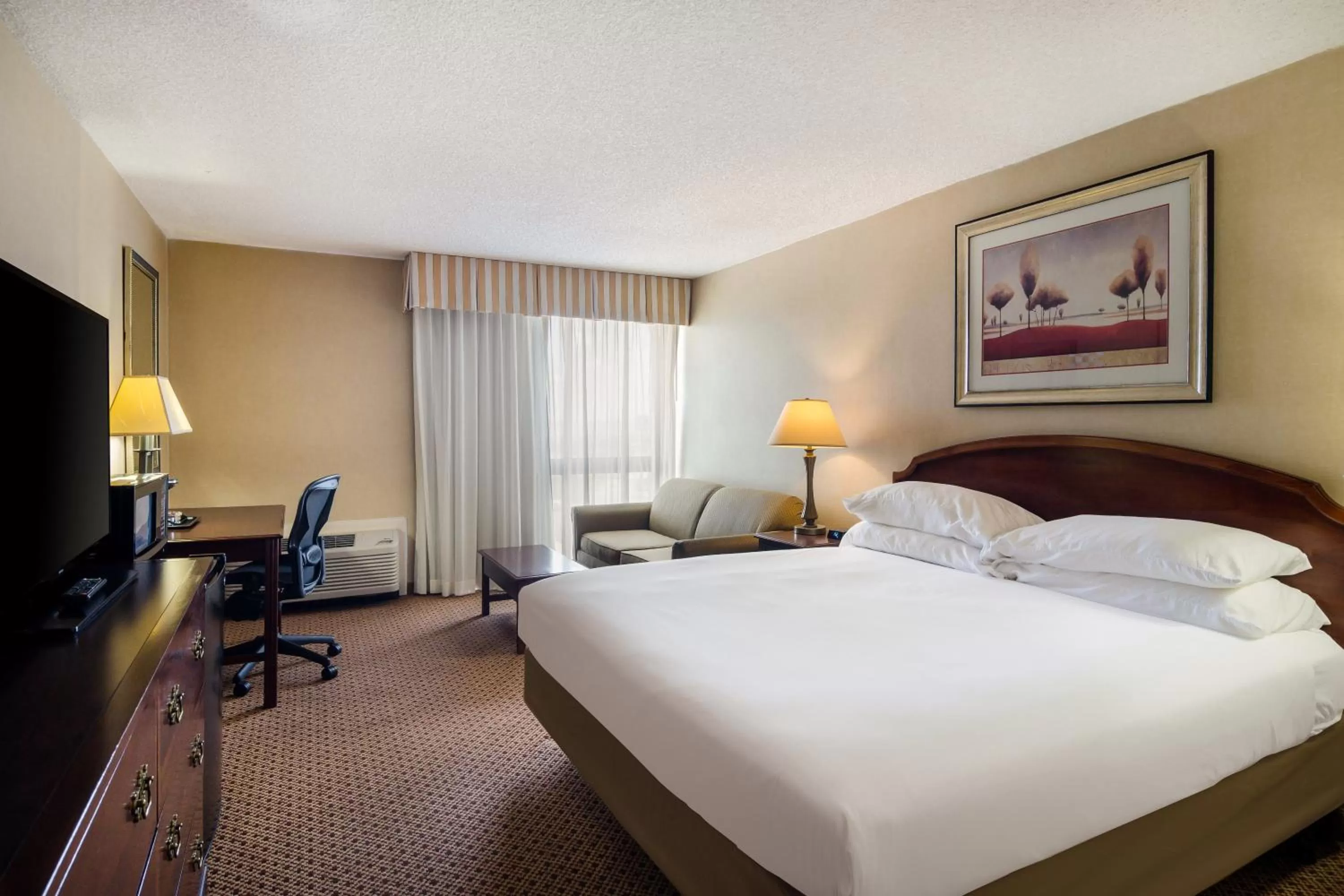 Accessible King Bed in Red Lion Hotel Cheyenne